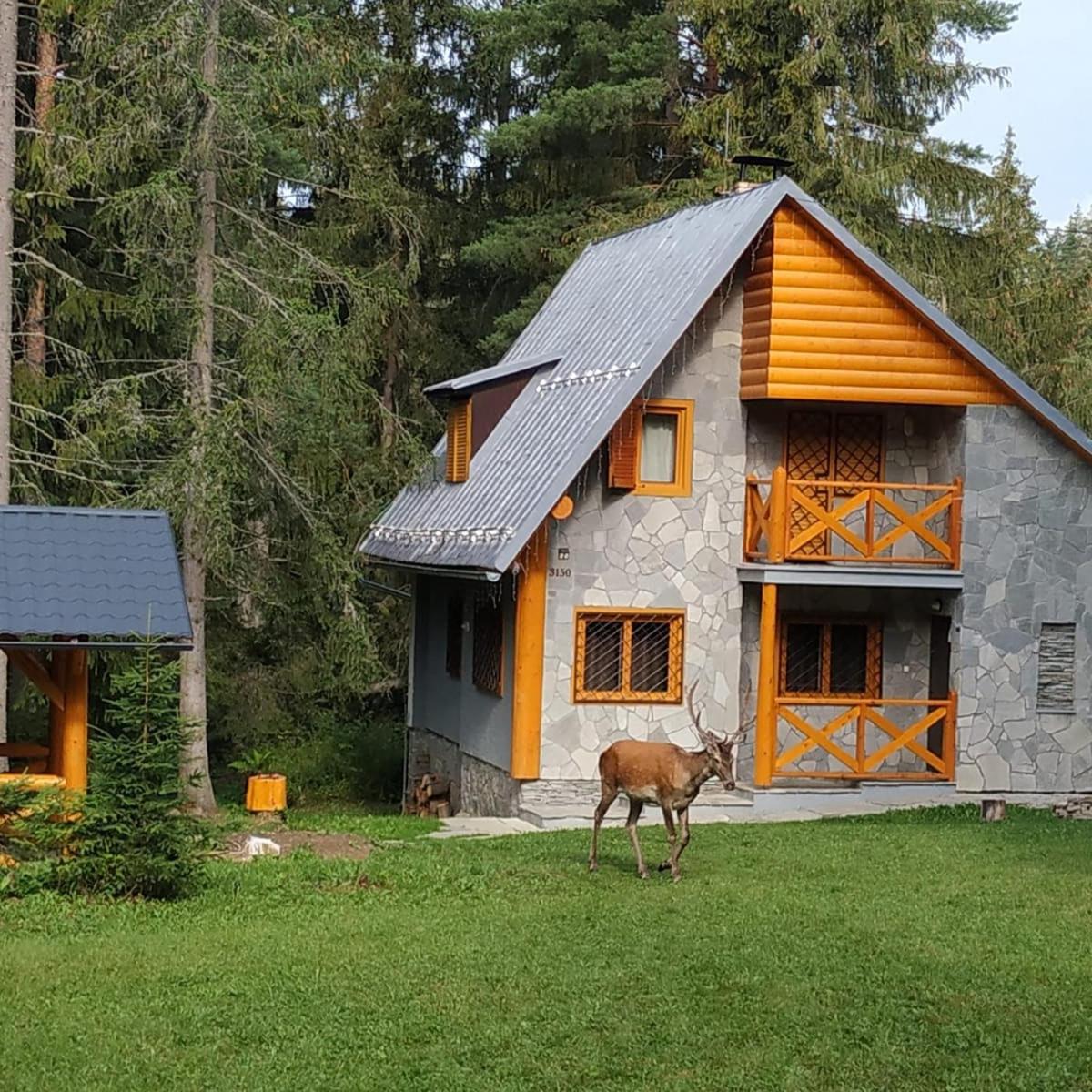 Three-Bedroom Chalet photo 1