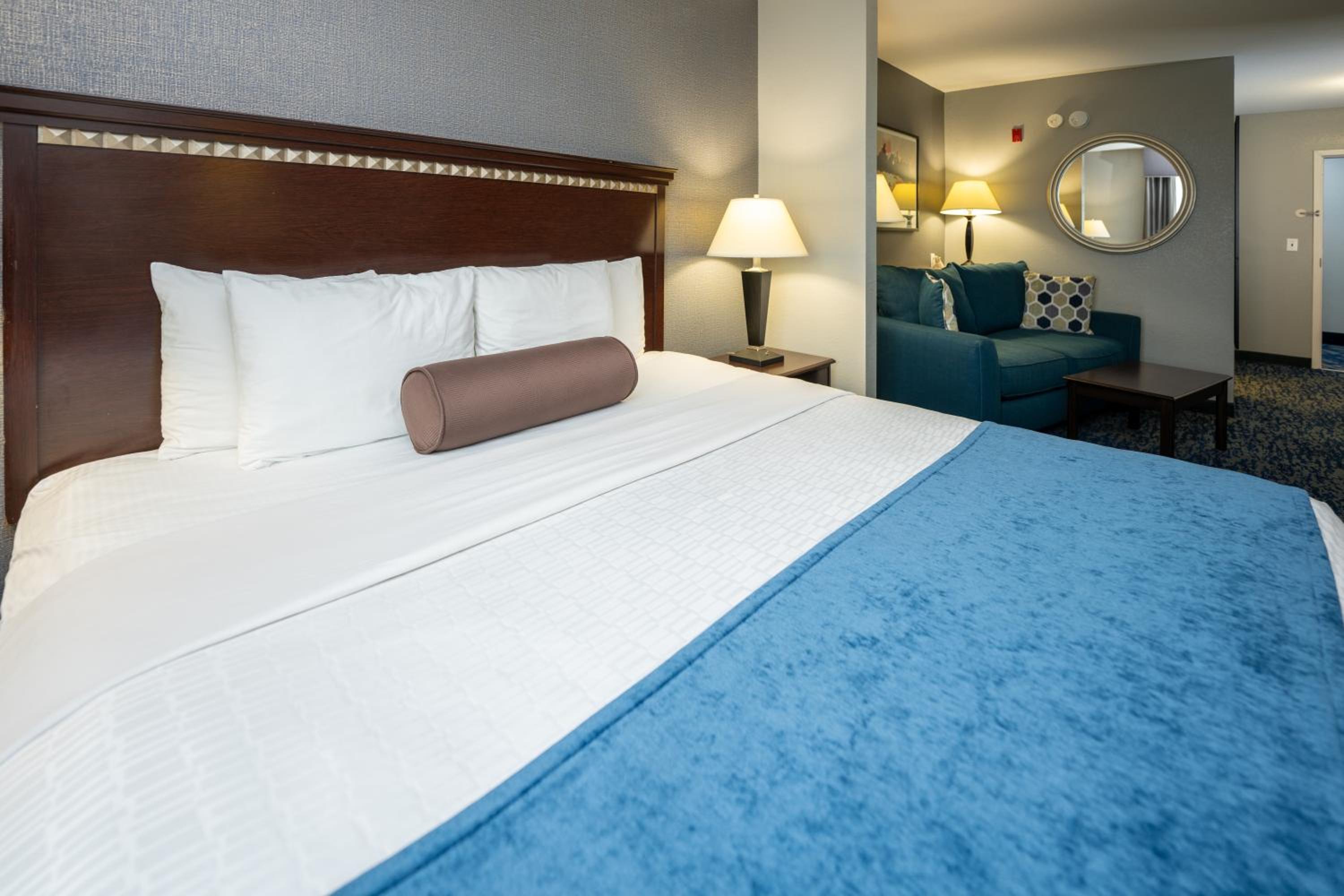 One Room Suite - Disability Access/Non Smoking photo 2