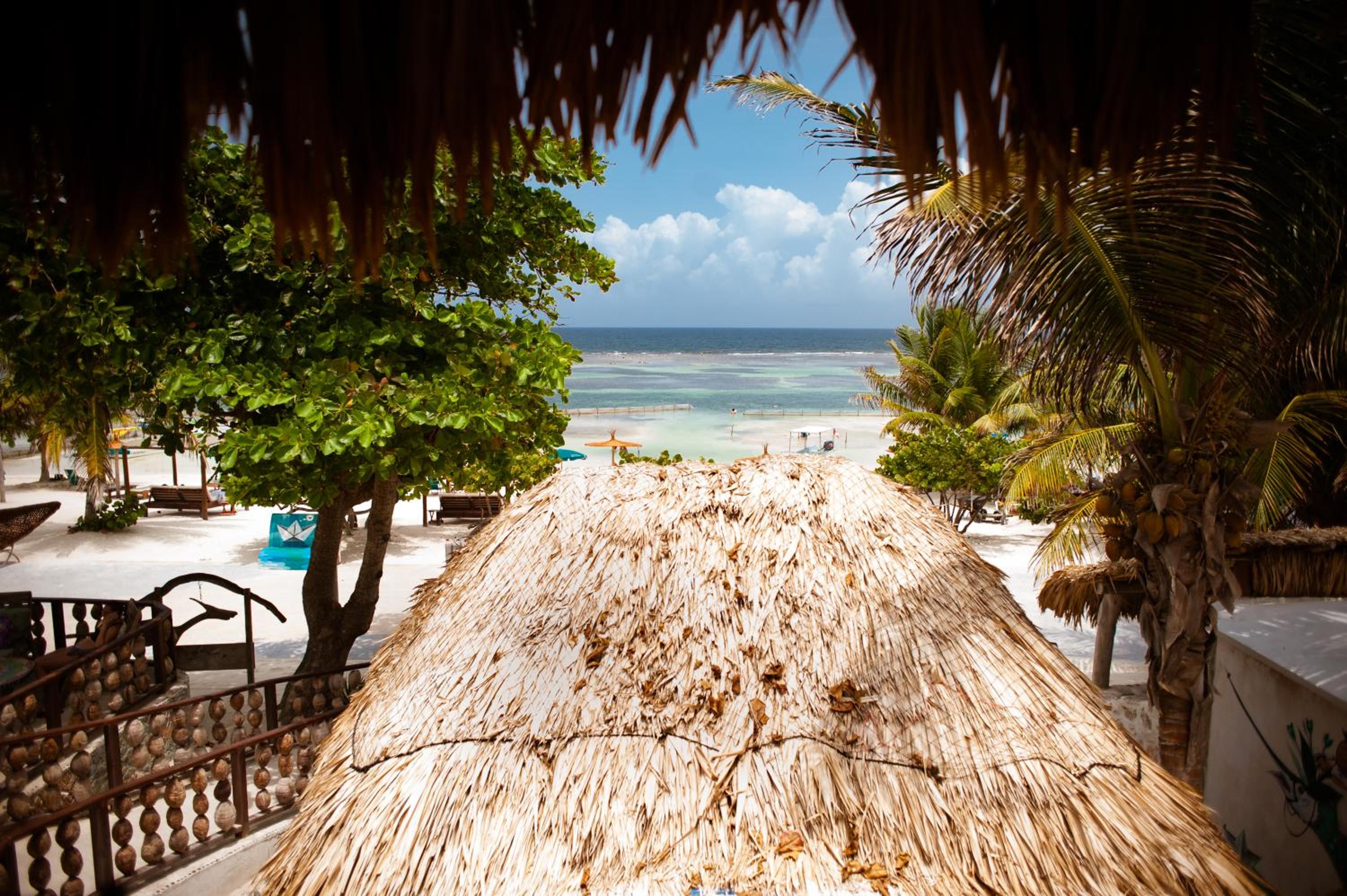 Deluxe Bungalow with Sea View - Photo 2