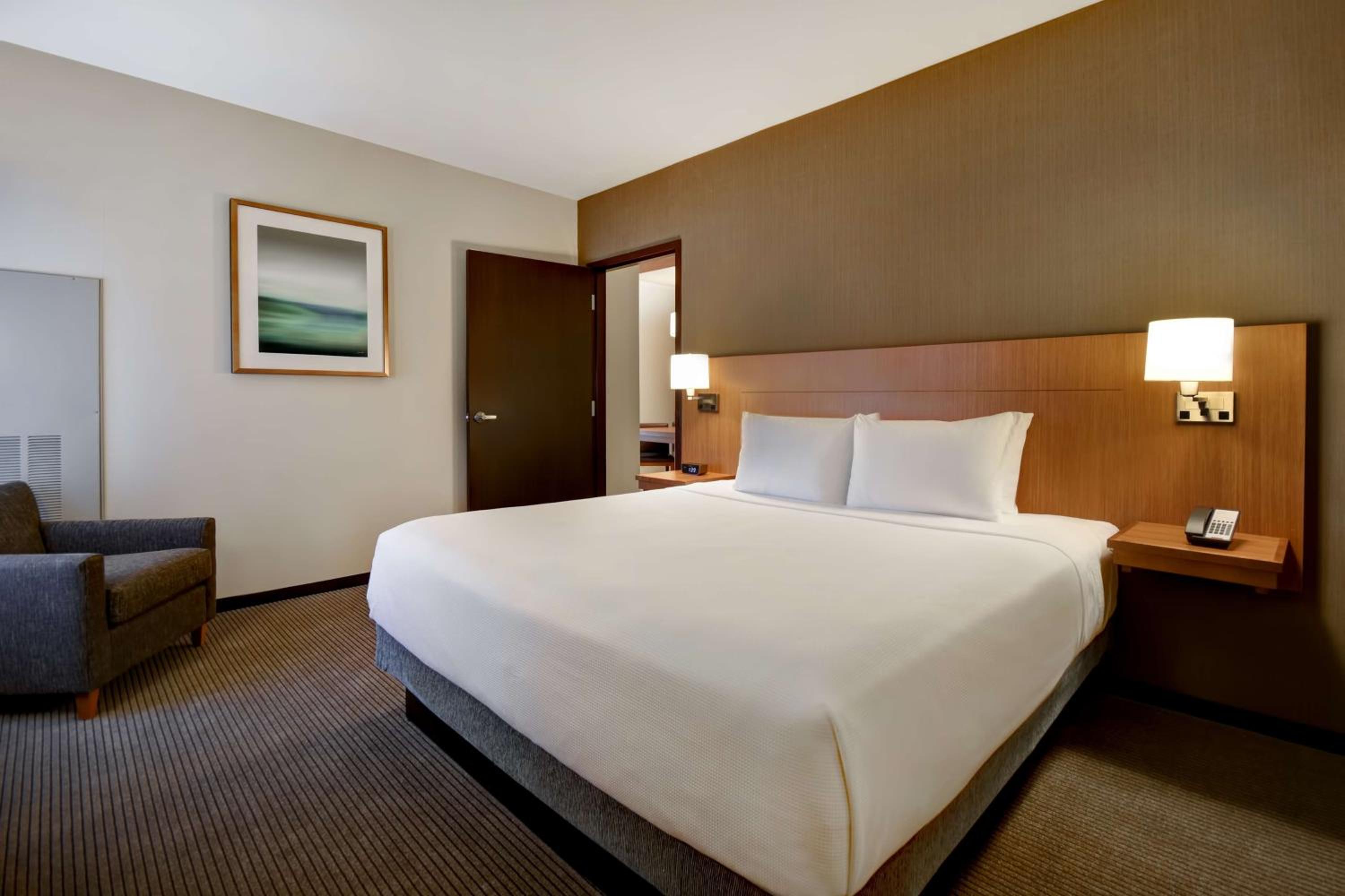 One-Bedroom King Suite with Sofa Bed - Photo 4
