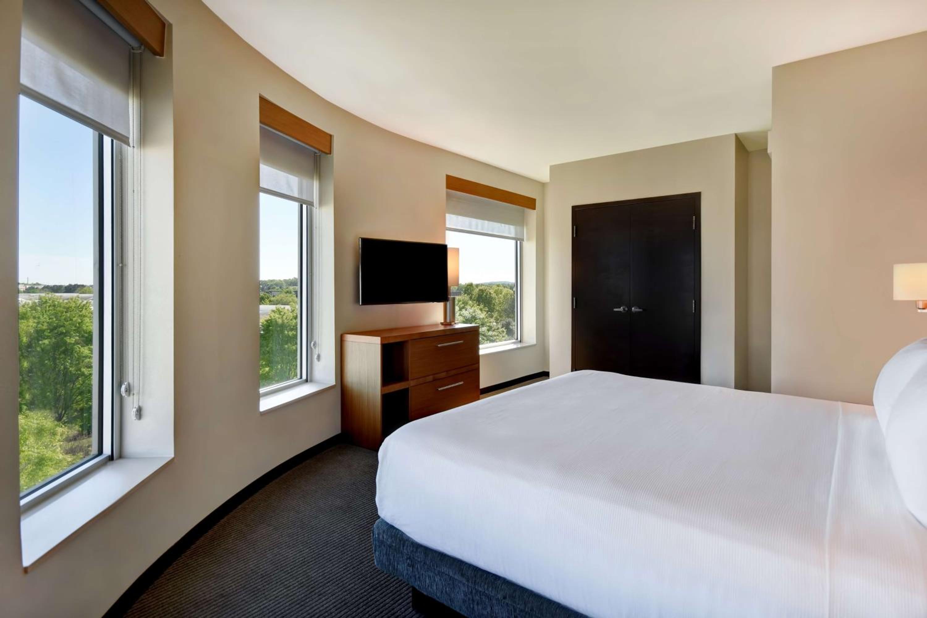 One-Bedroom King Suite with Sofa Bed - Photo 5