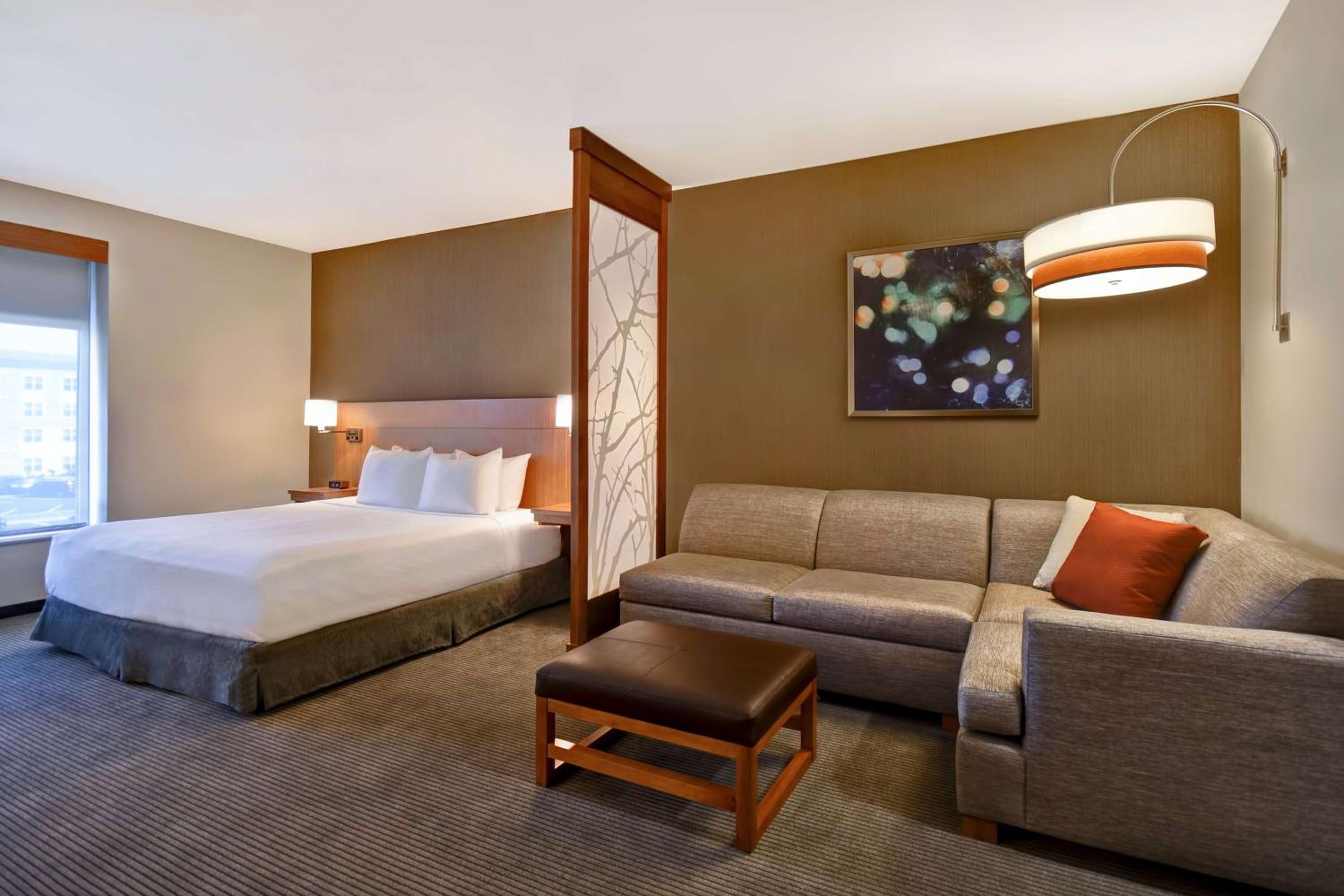 King Room with Sofa Bed and Accessible Tub - Photo 9
