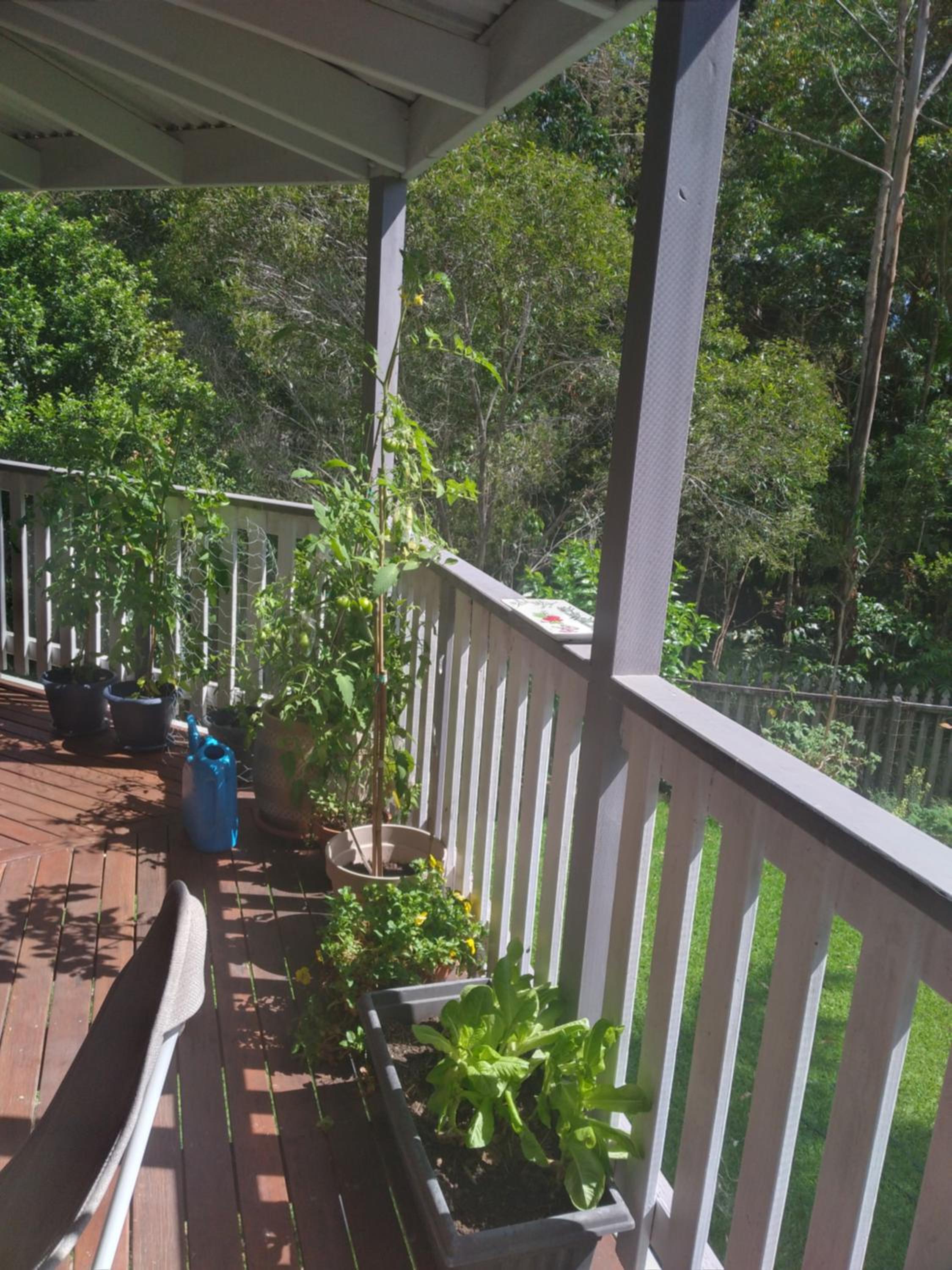 Double Room with Garden View - Photo 9