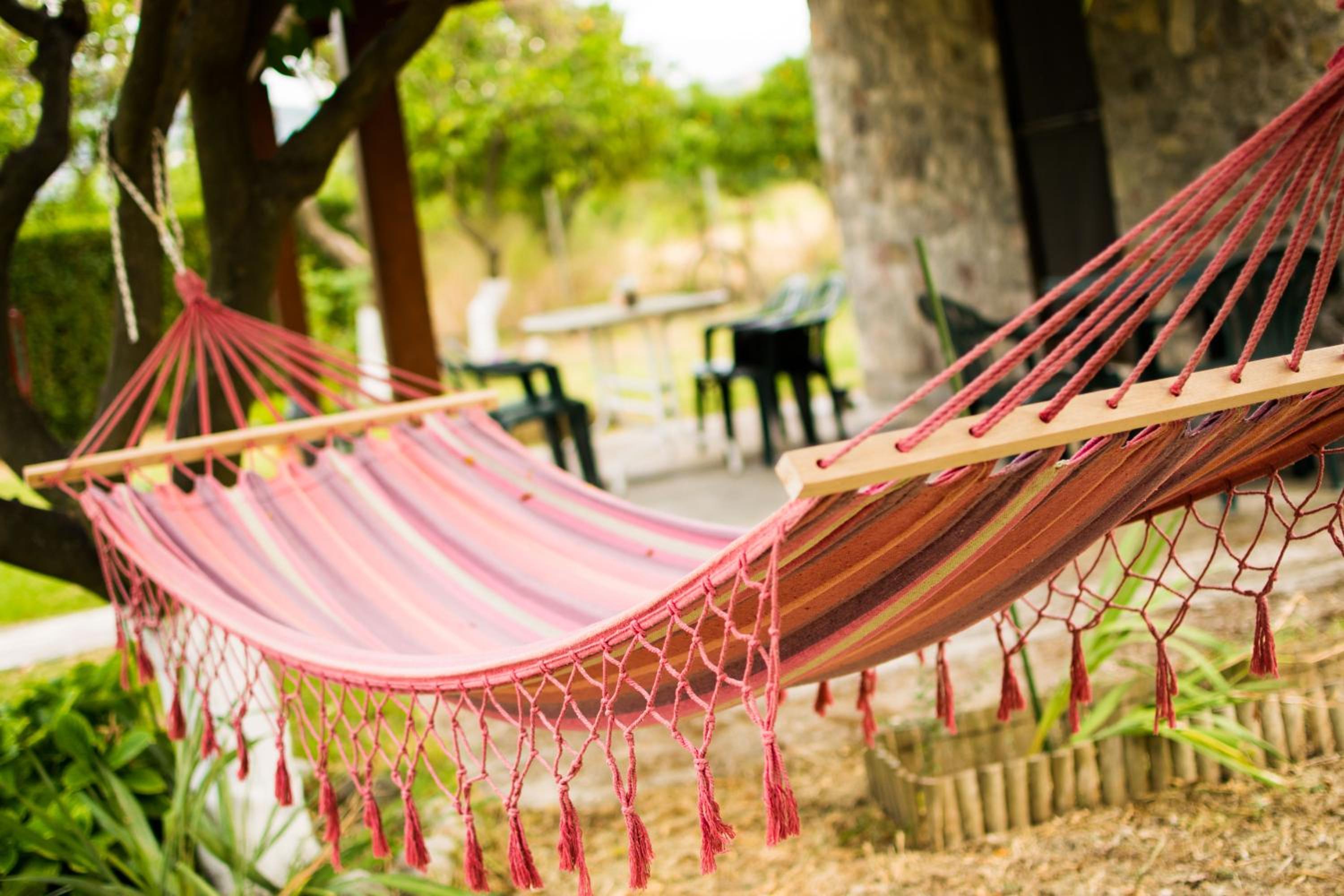 One-Bedroom House photo 3