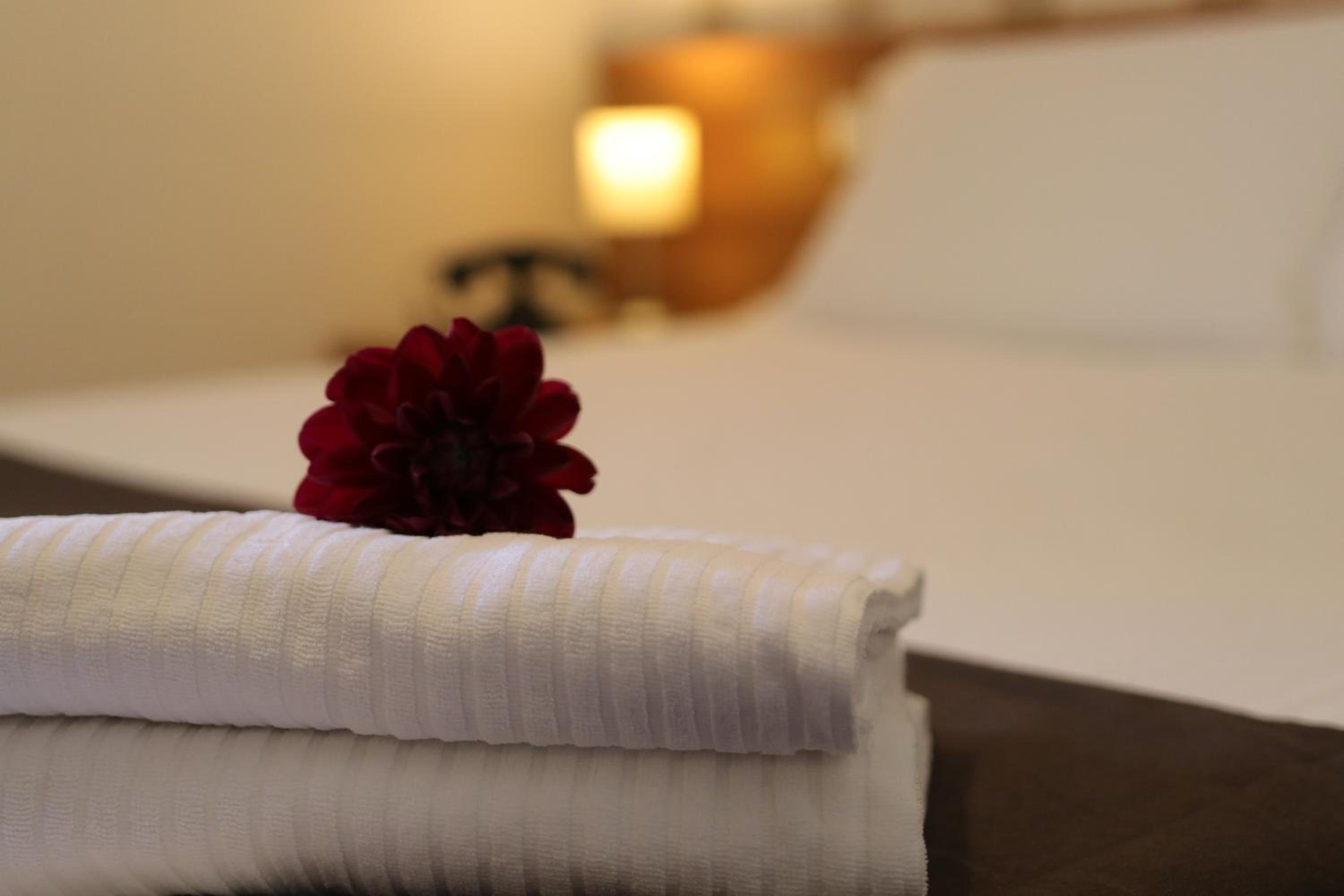 Double or Twin Room with Terrace photo 3