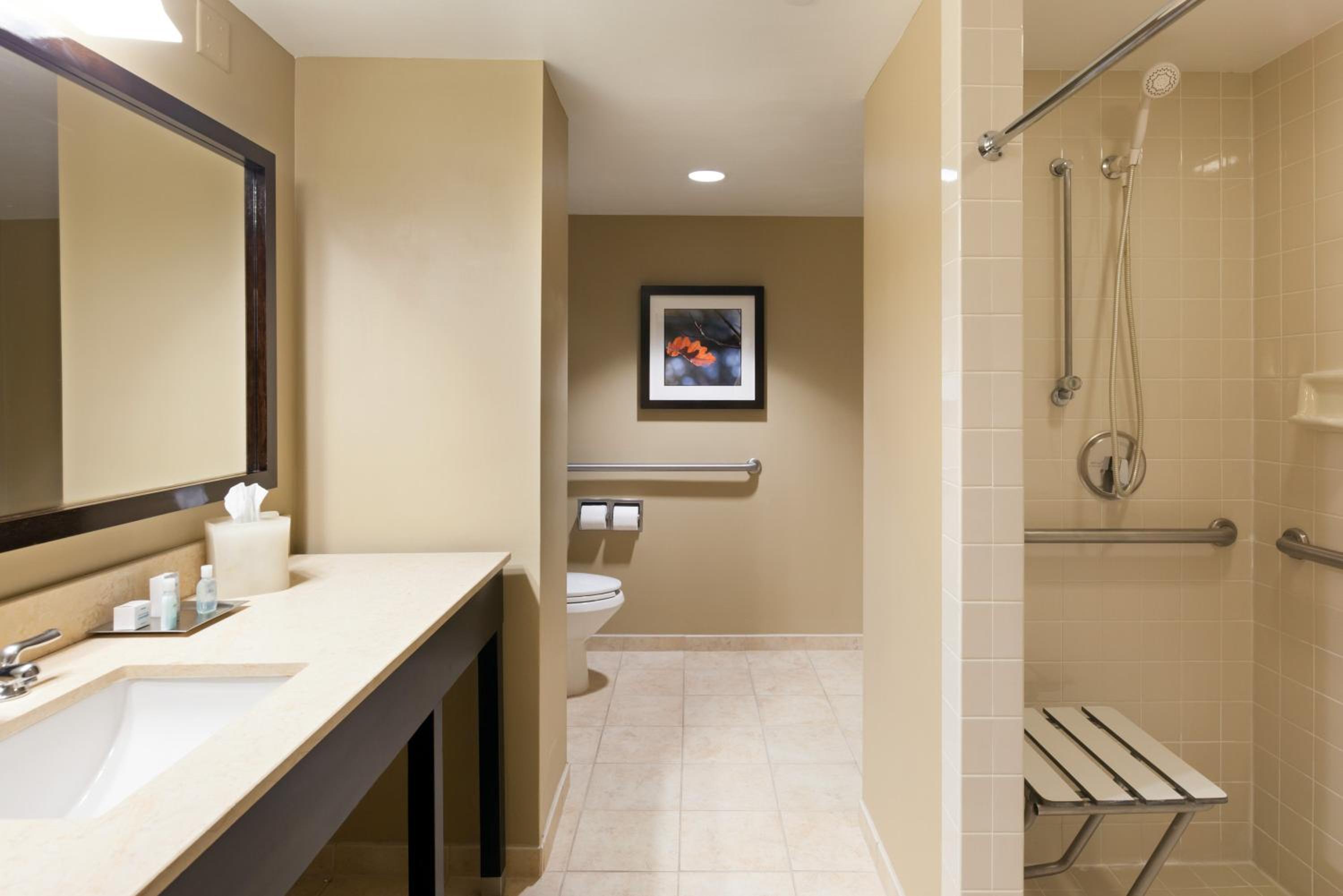 Standard King Room with Mobility Accessible Roll-In Shower - Photo 3