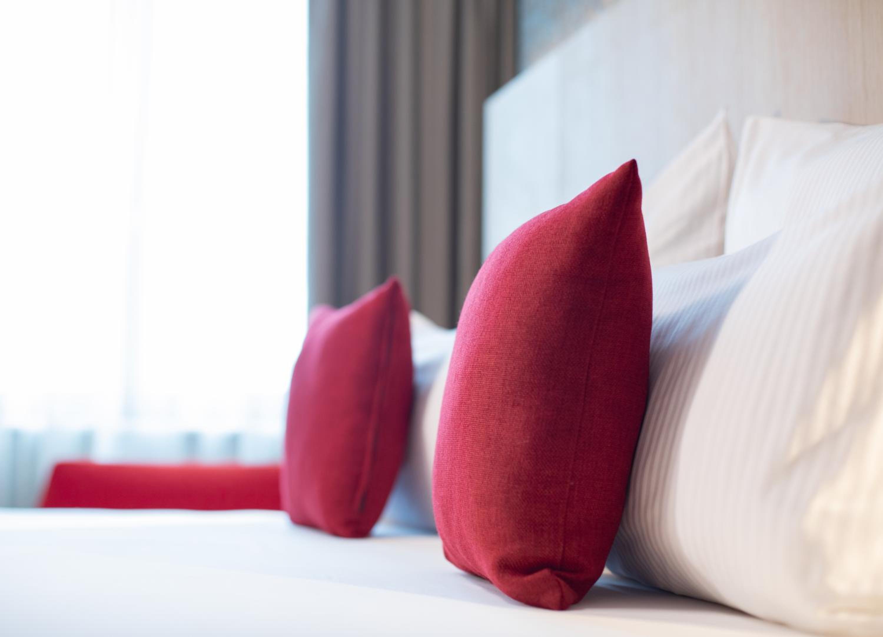 Comfort Double or Twin Room photo 3