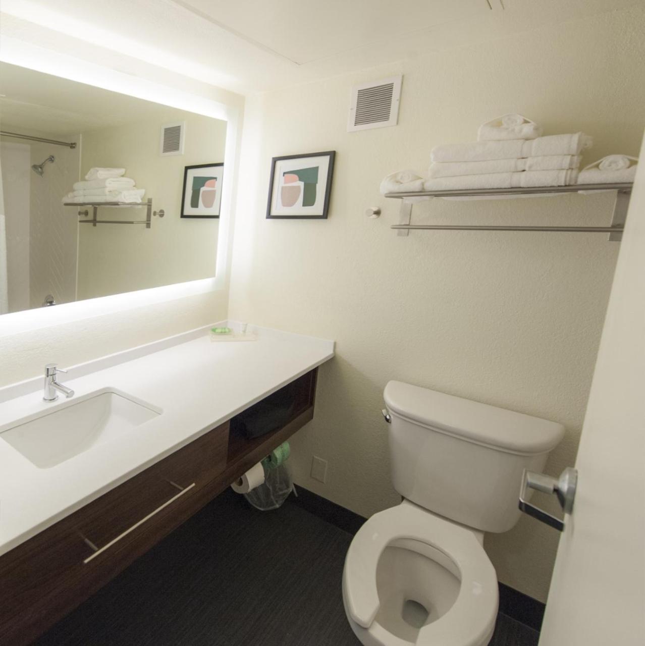 Premium King Room - Photo 4