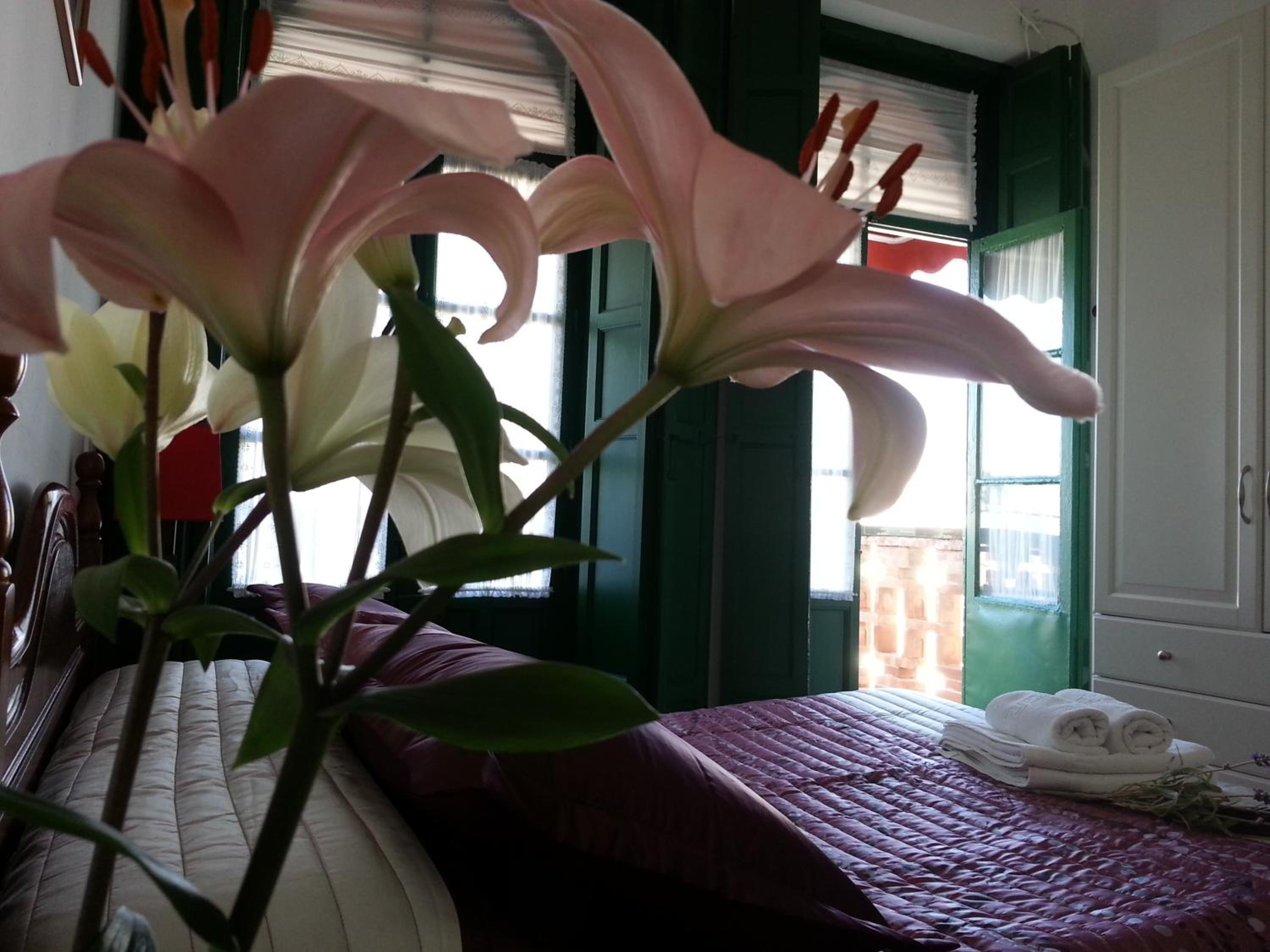 Double Room with Balcony photo 3