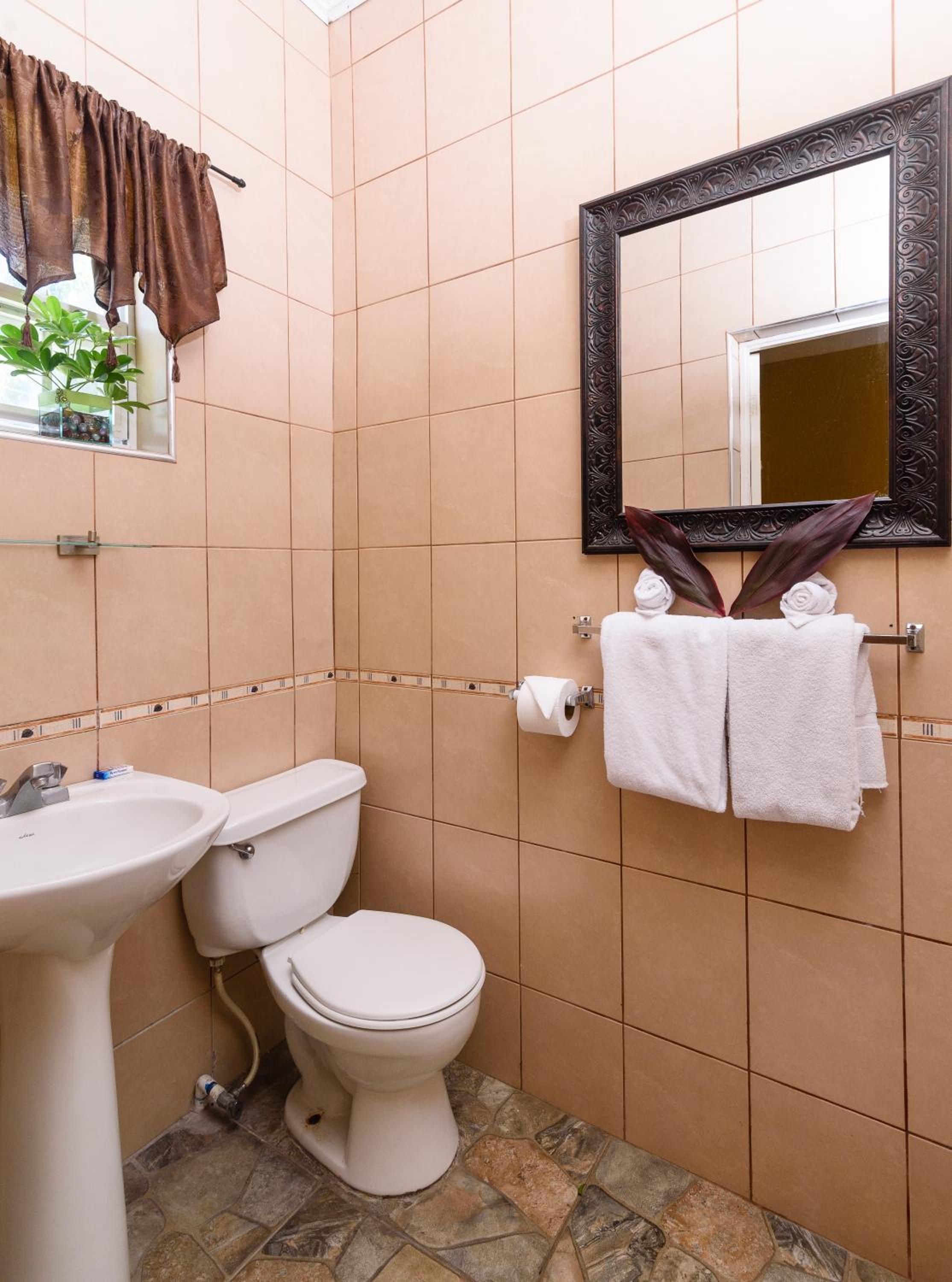 Premium Room photo 3