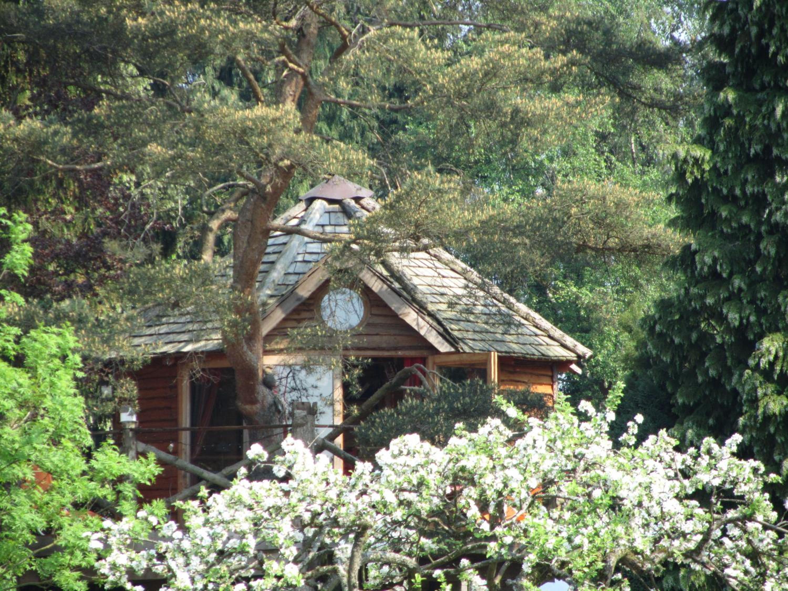 Tree House photo 2