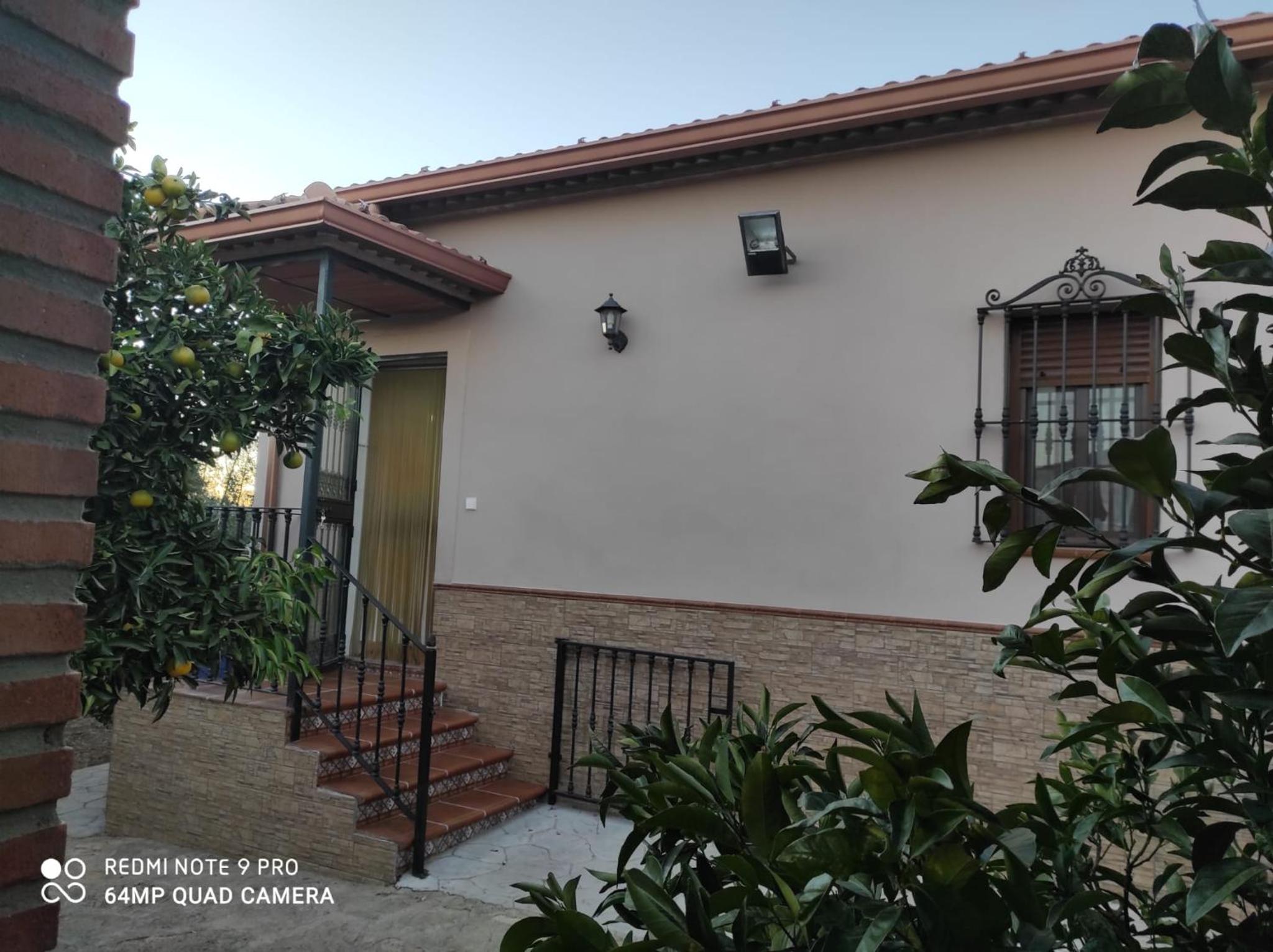 Three-Bedroom House photo 3