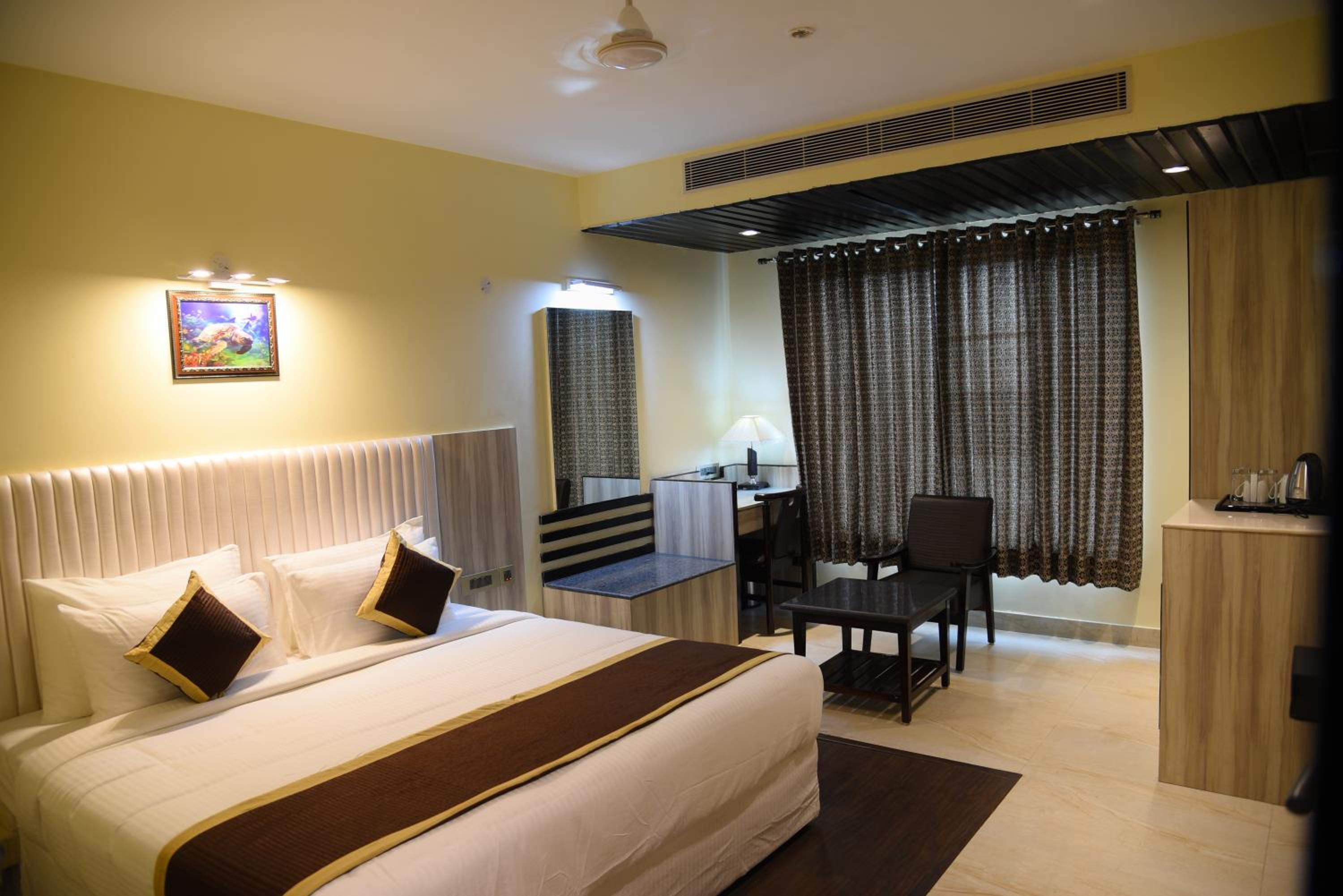 Suite - Photo 1