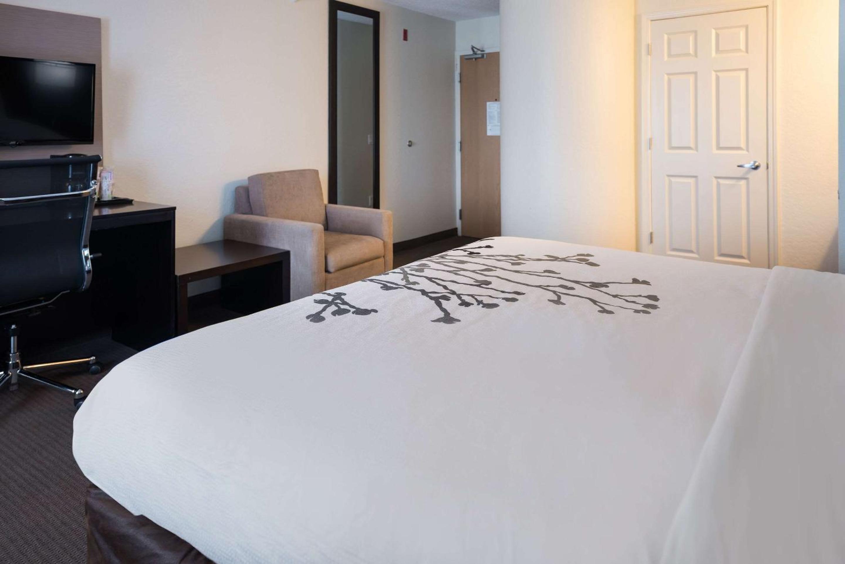 King Room - Non-Smoking - Photo 3