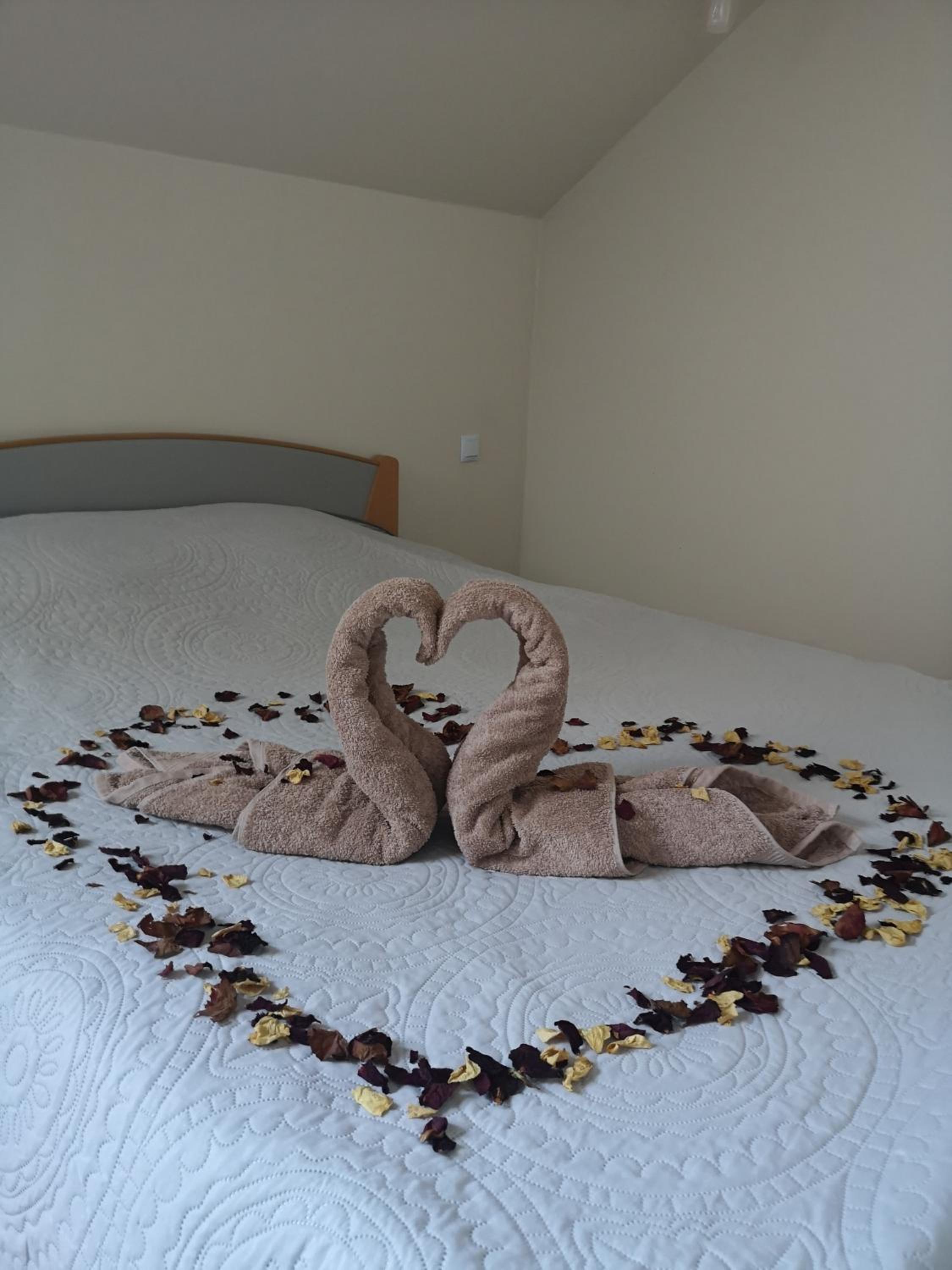 One-Bedroom Apartment - Photo 2