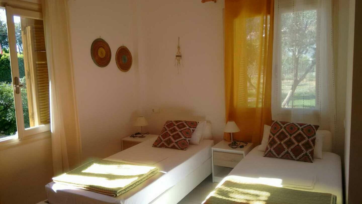 Standard Twin Room photo 1