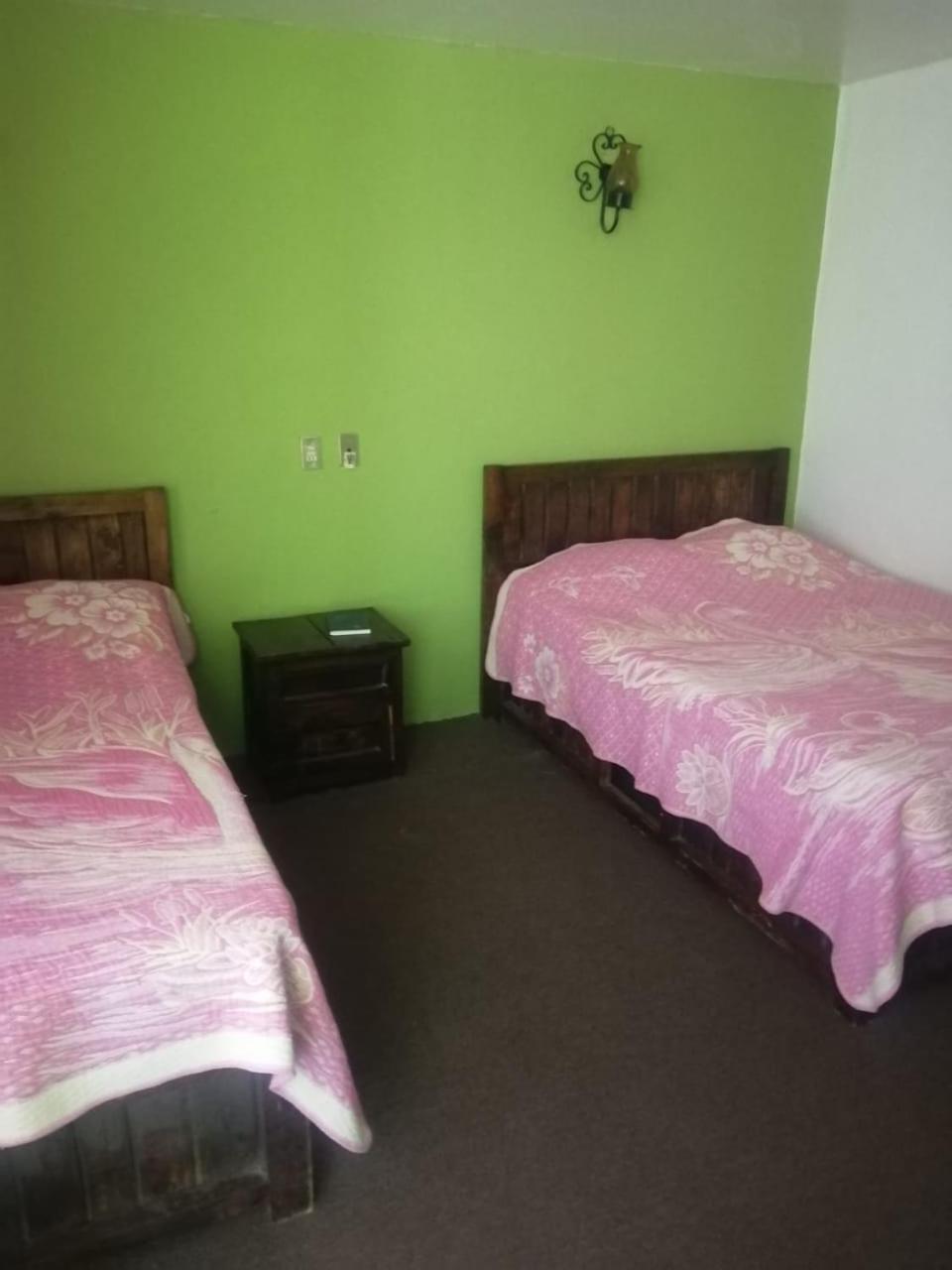 Twin Room photo 3