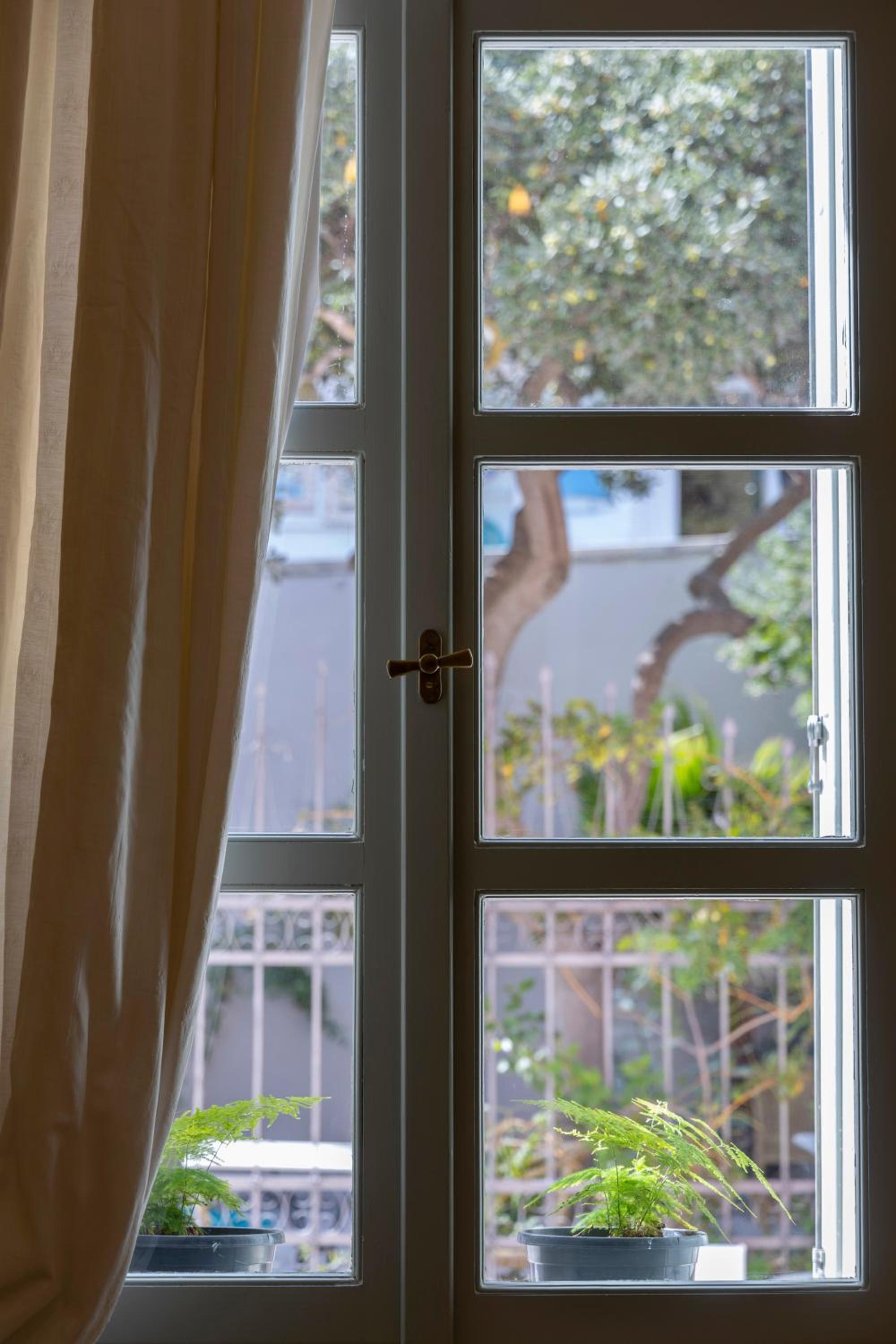 Suite - Photo 3