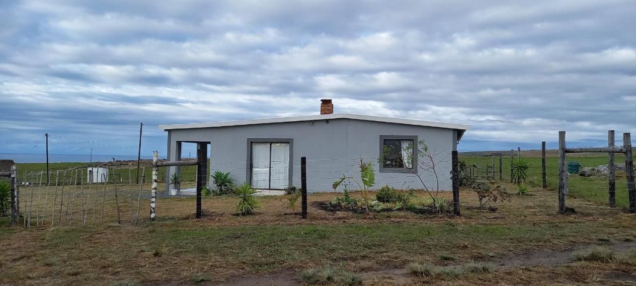 Two-Bedroom House - Photo 22