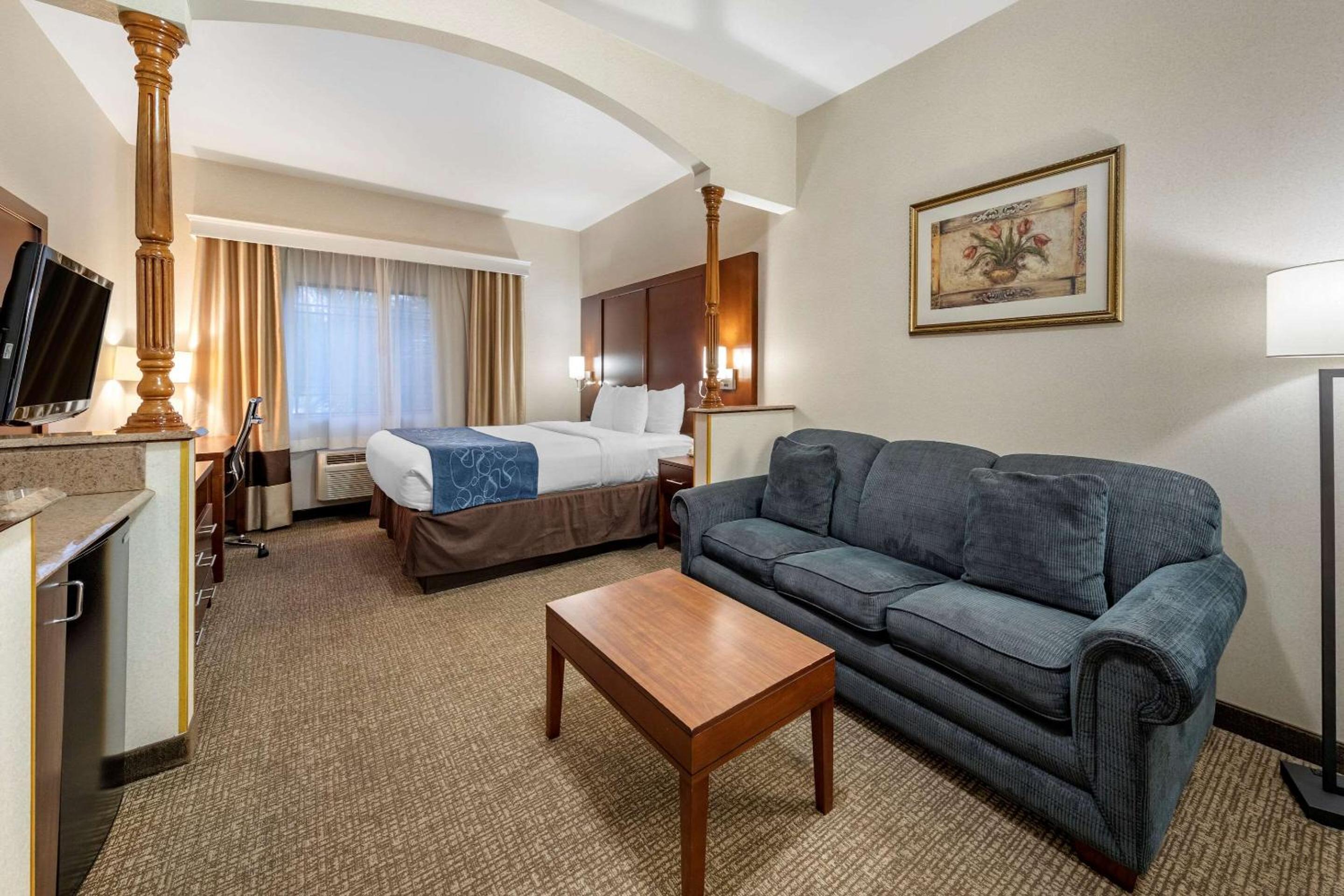 Suite, 1 King Bed with Sofabed