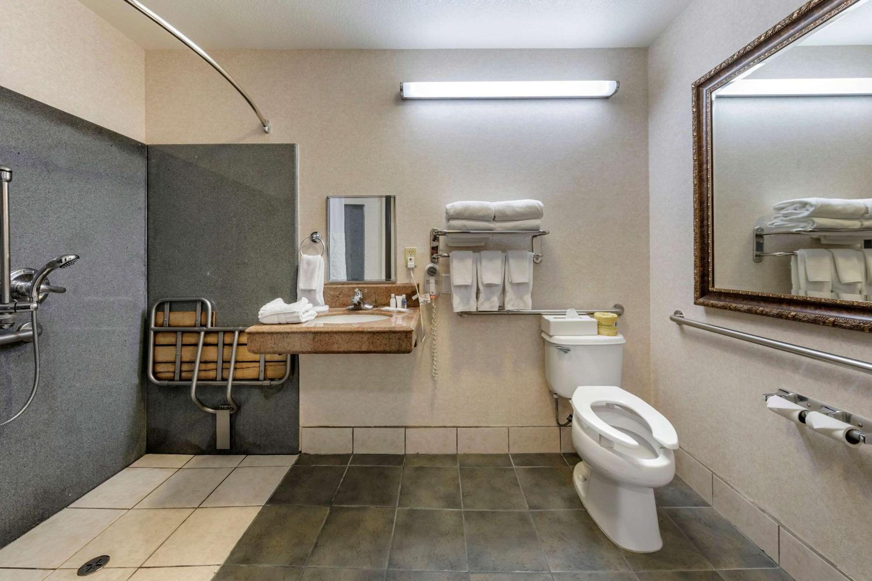 King Room with Roll-In Shower - Accessible/Non-Smoking