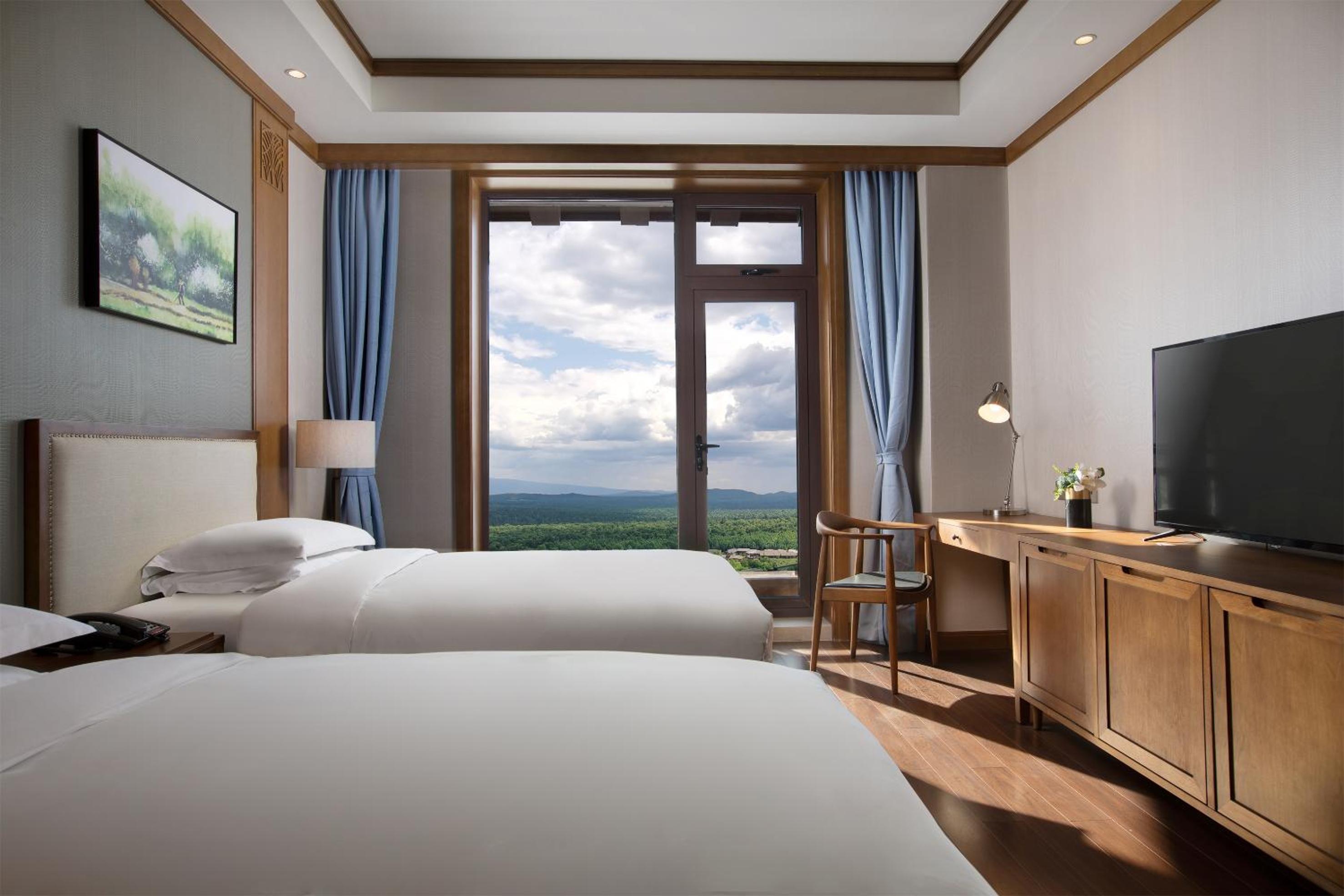 Swiss One-Bedroom Twin Suite with Mountain View photo 2