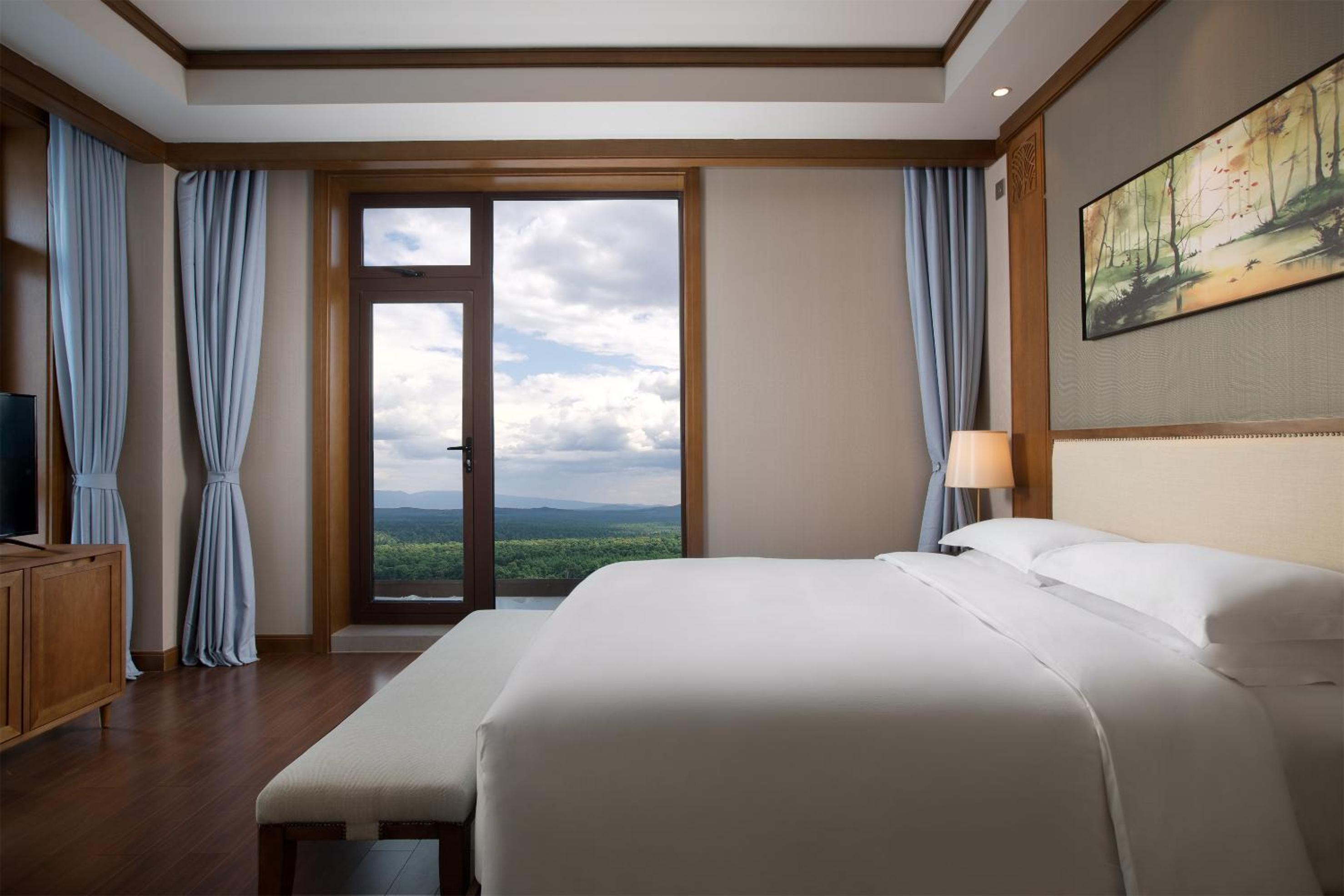Swiss Advantage King Room with Mountain View photo 1