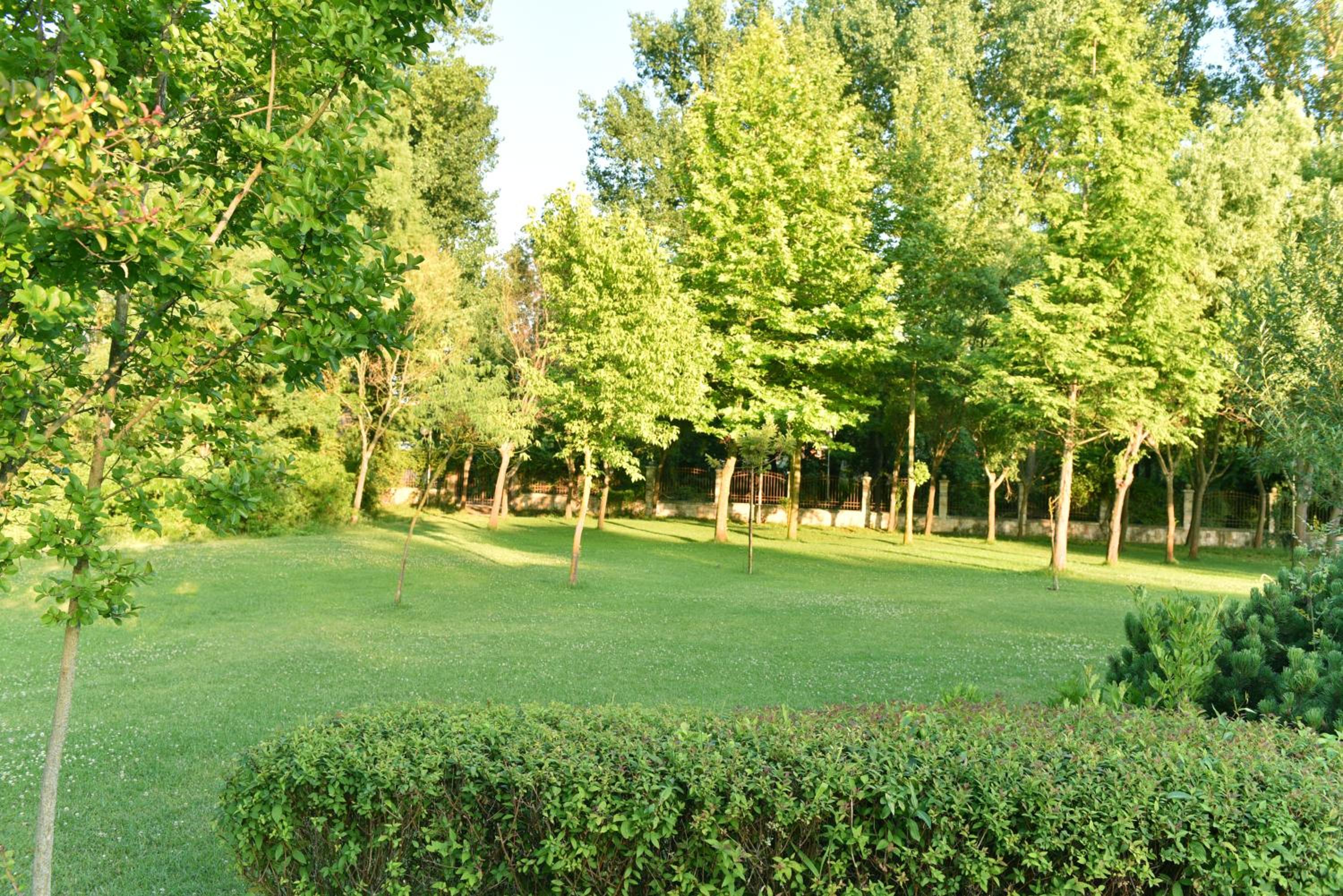 Double Room with Bunk Beds with Free Parking (2 Adults + 2 Children) - Ground Floor photo 3