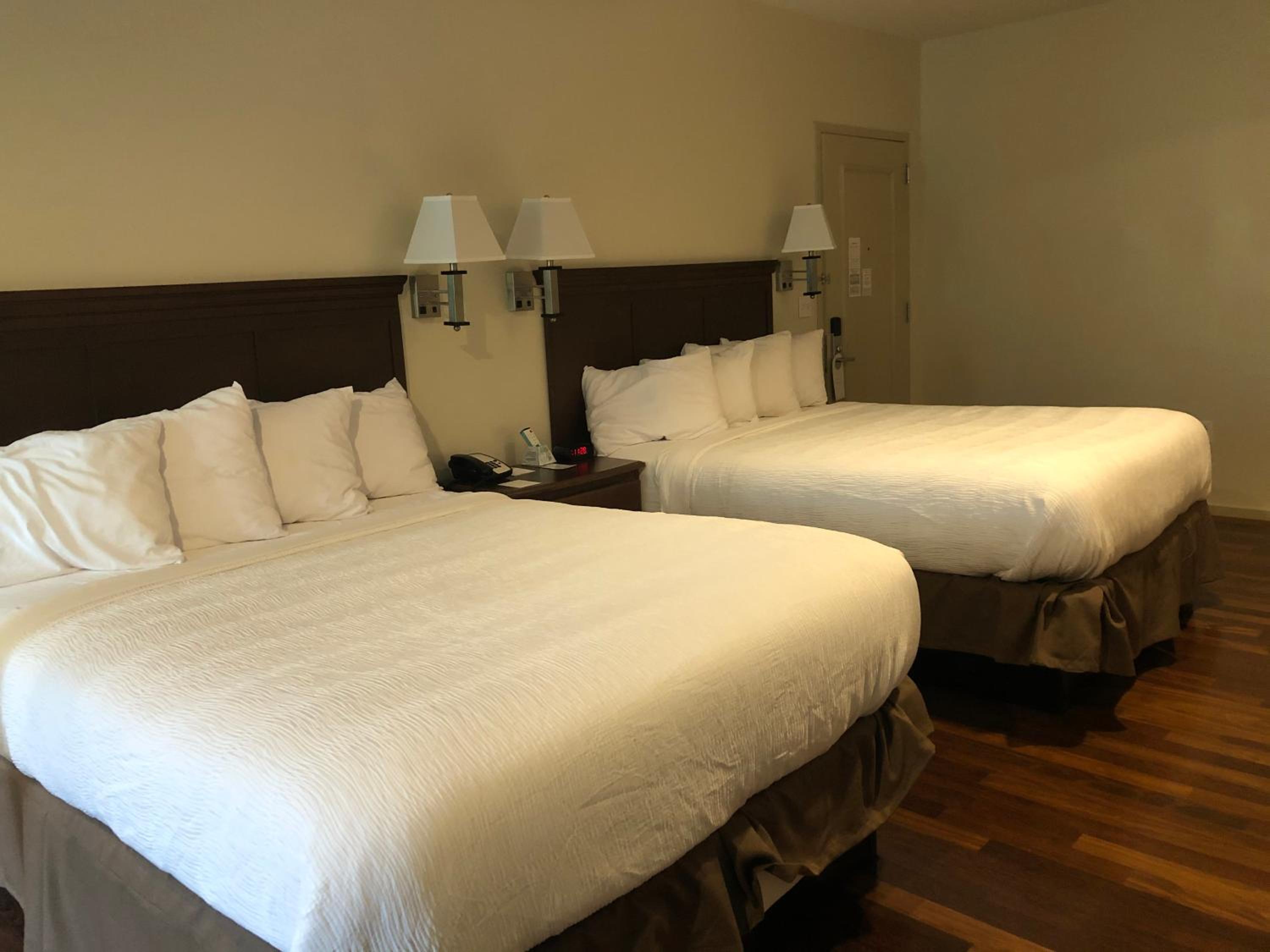 Queen Room - Disability Access - Photo 4