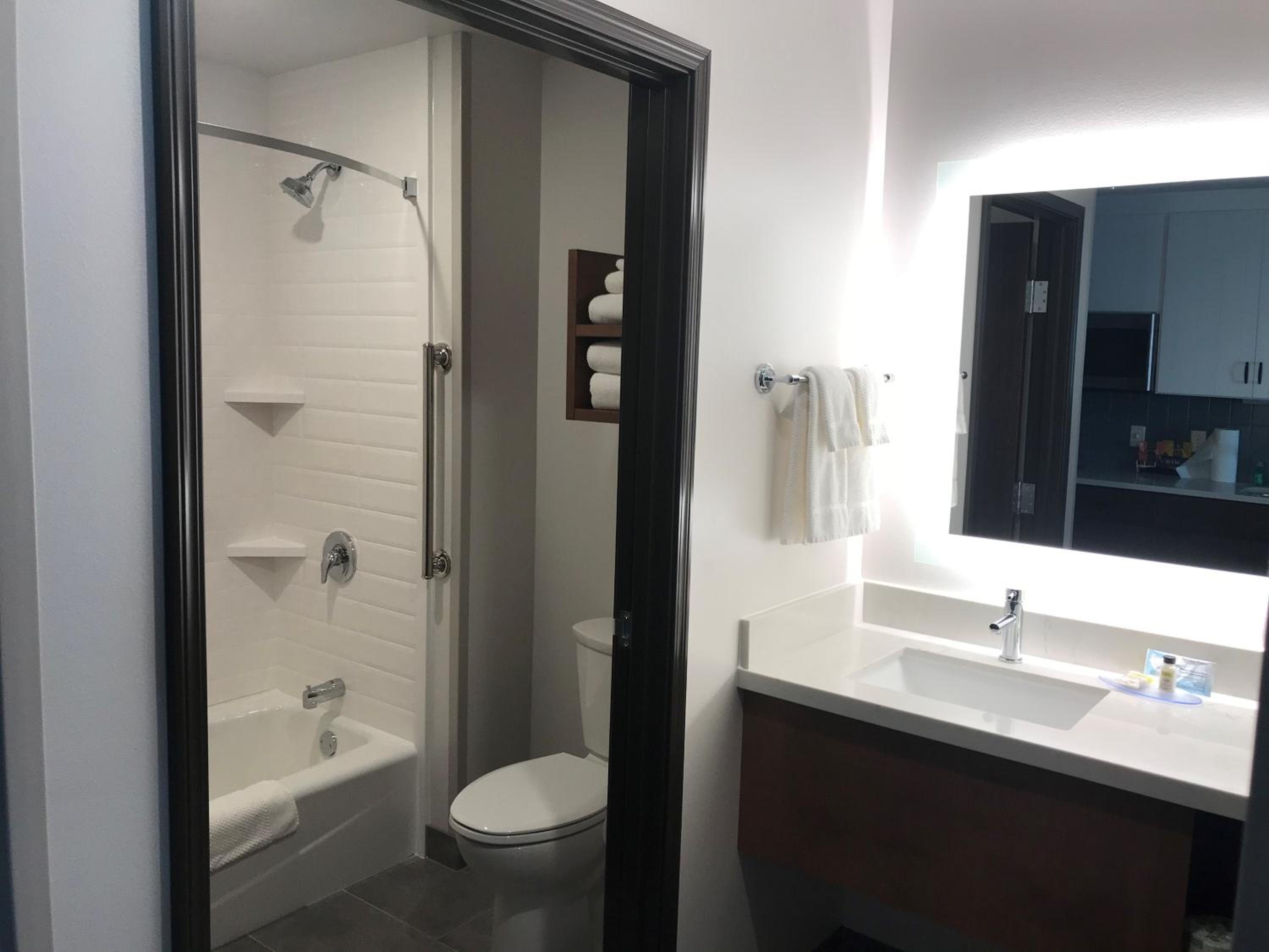 King Studio Suite - Photo 4