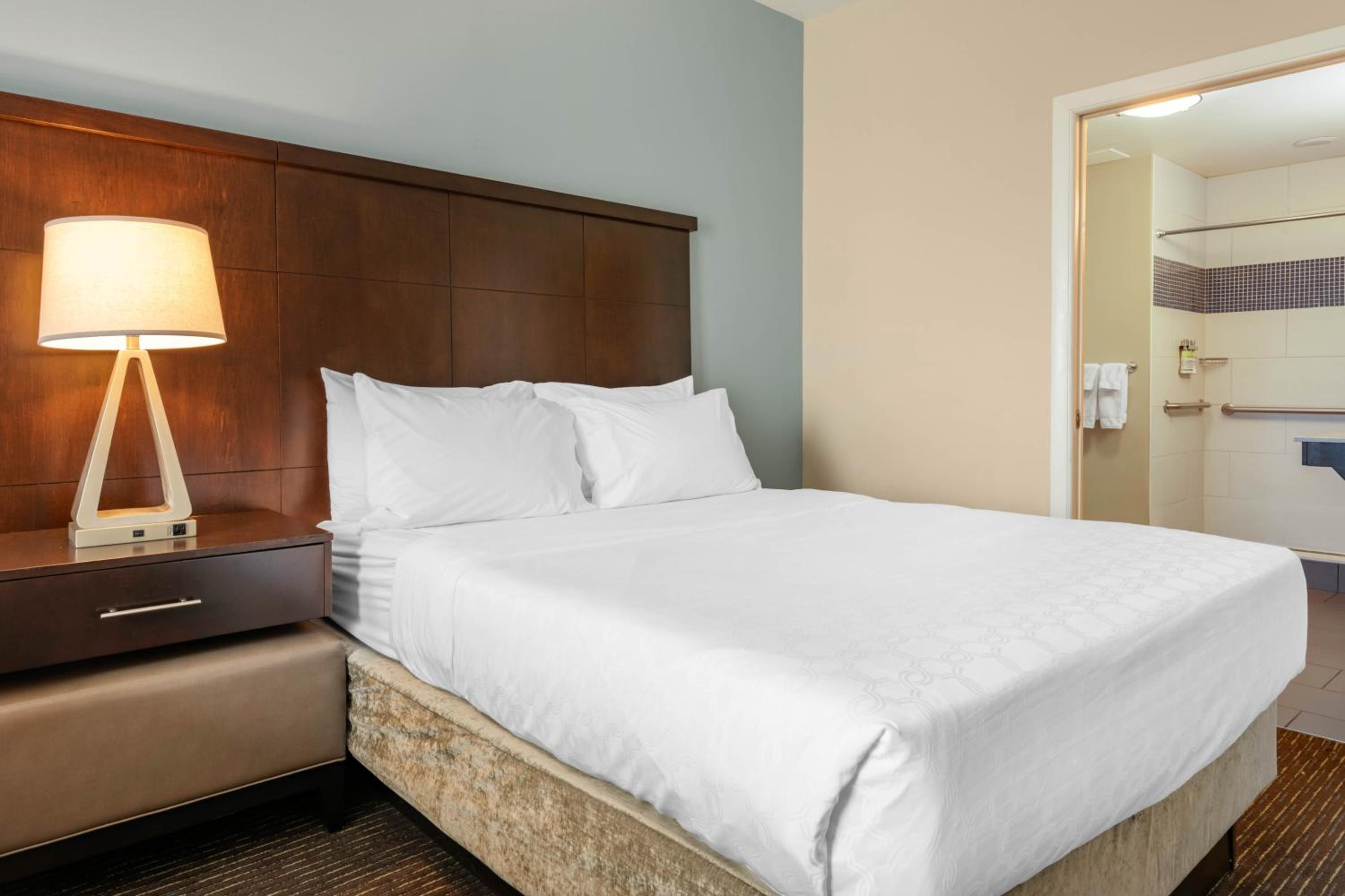 Queen Studio with Roll-In Shower - Non-Smoking - Photo 1