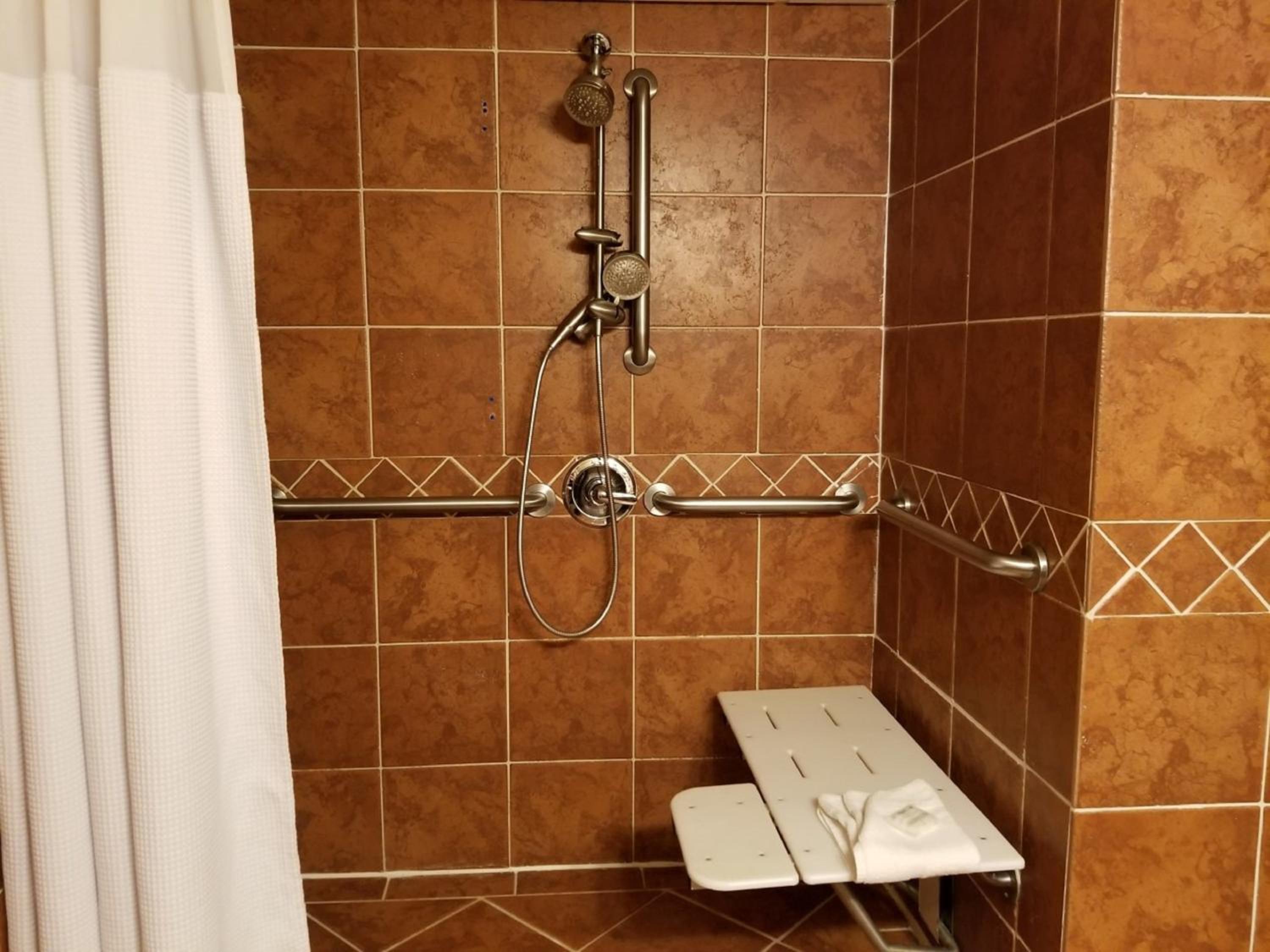 King Room with Roll-In Shower - Mobility Access/Non-Smoking - Photo 4