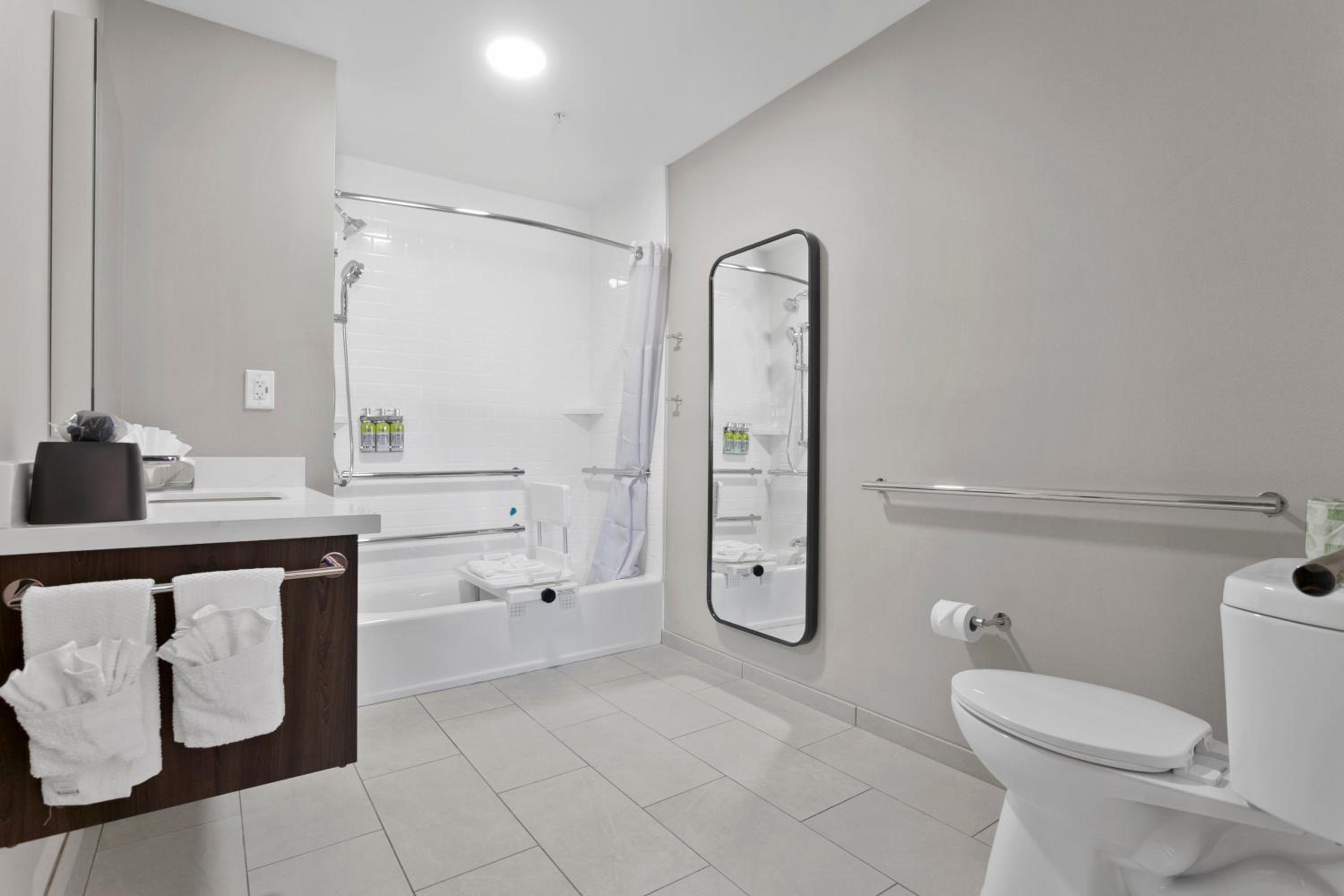 Queen Studio Suite - Mobility Access Tub/Non-Smoking - Photo 3