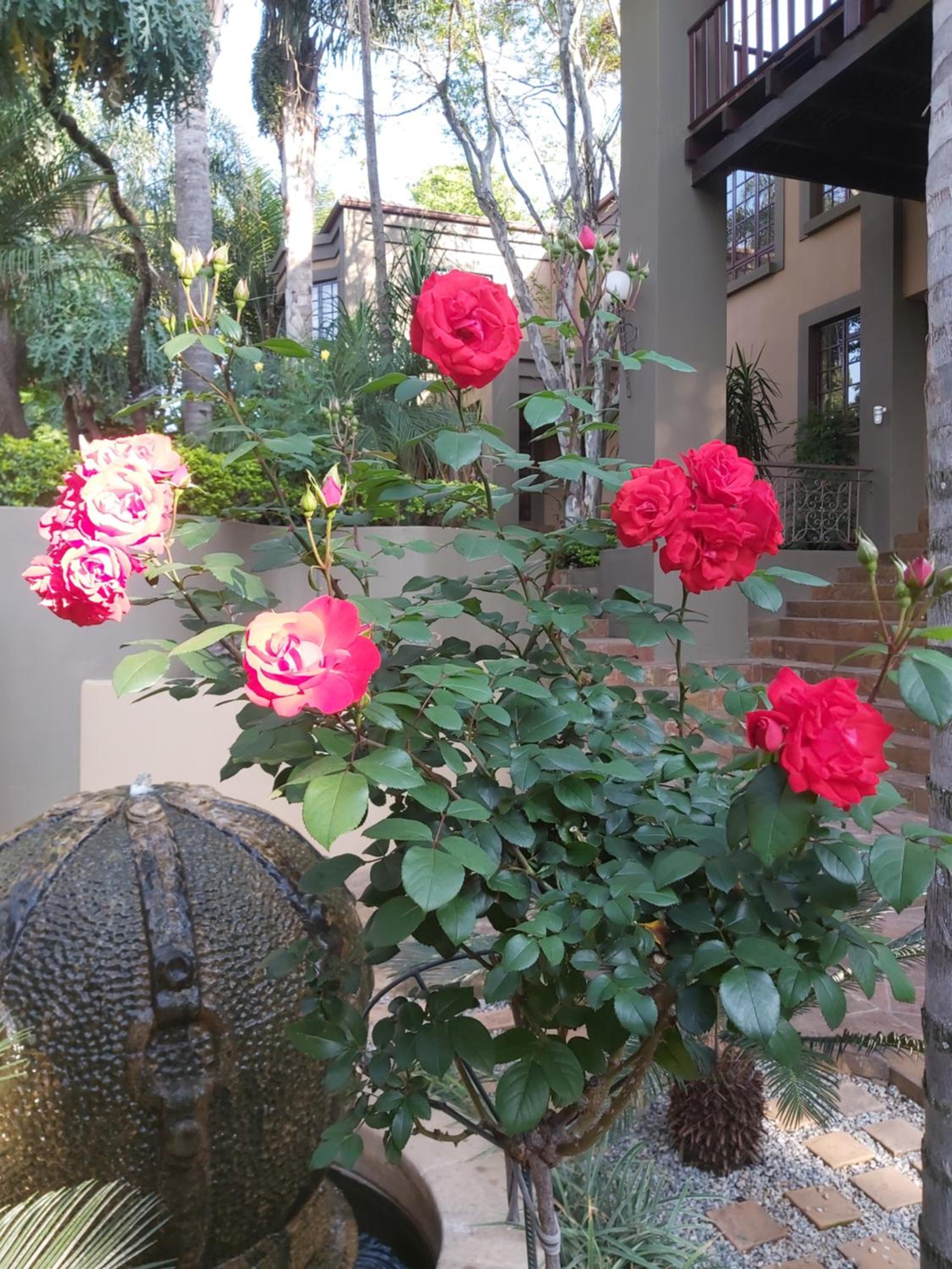 Standard Suite - Photo 23