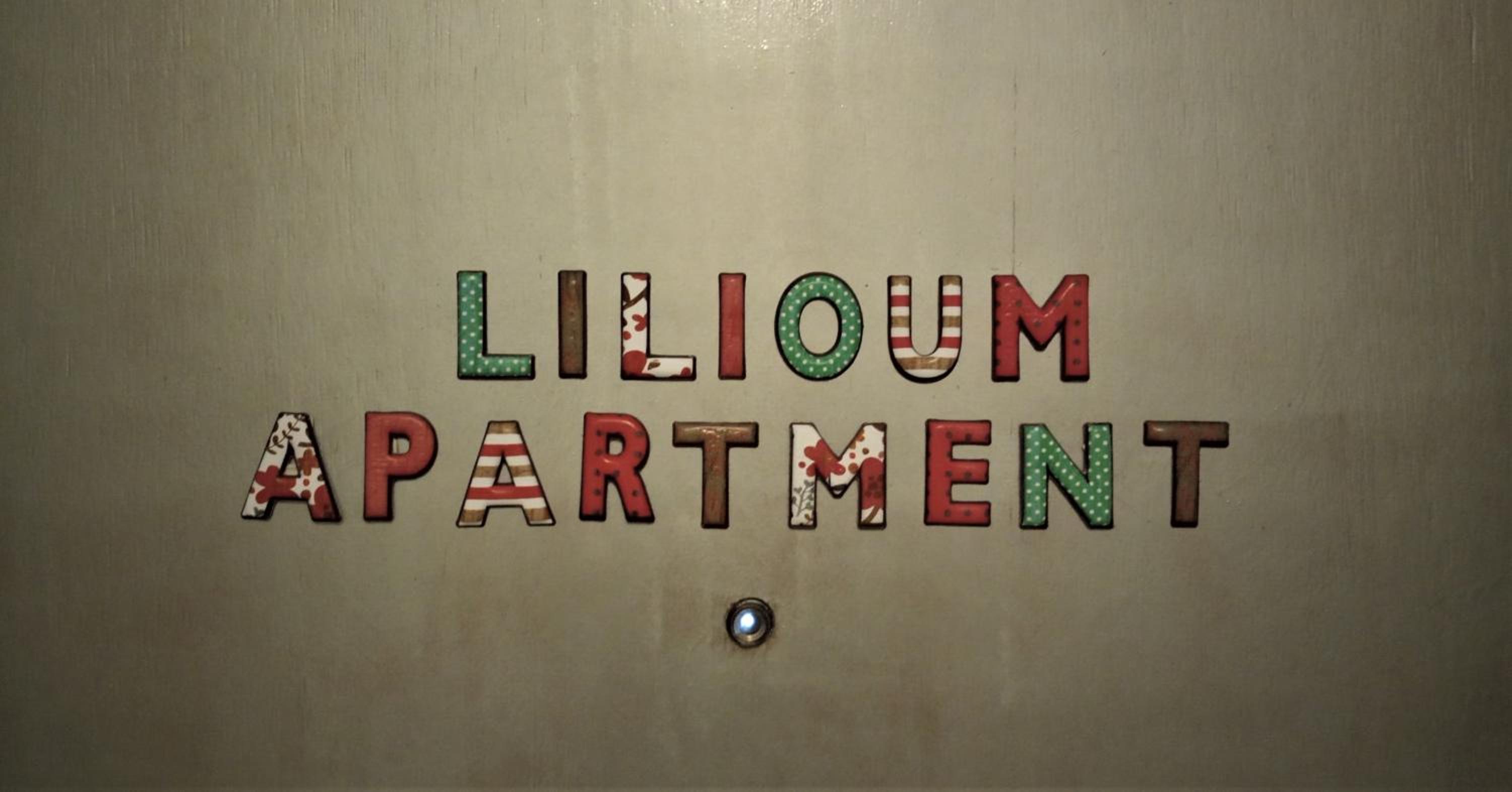 Superior Apartment - Photo 25