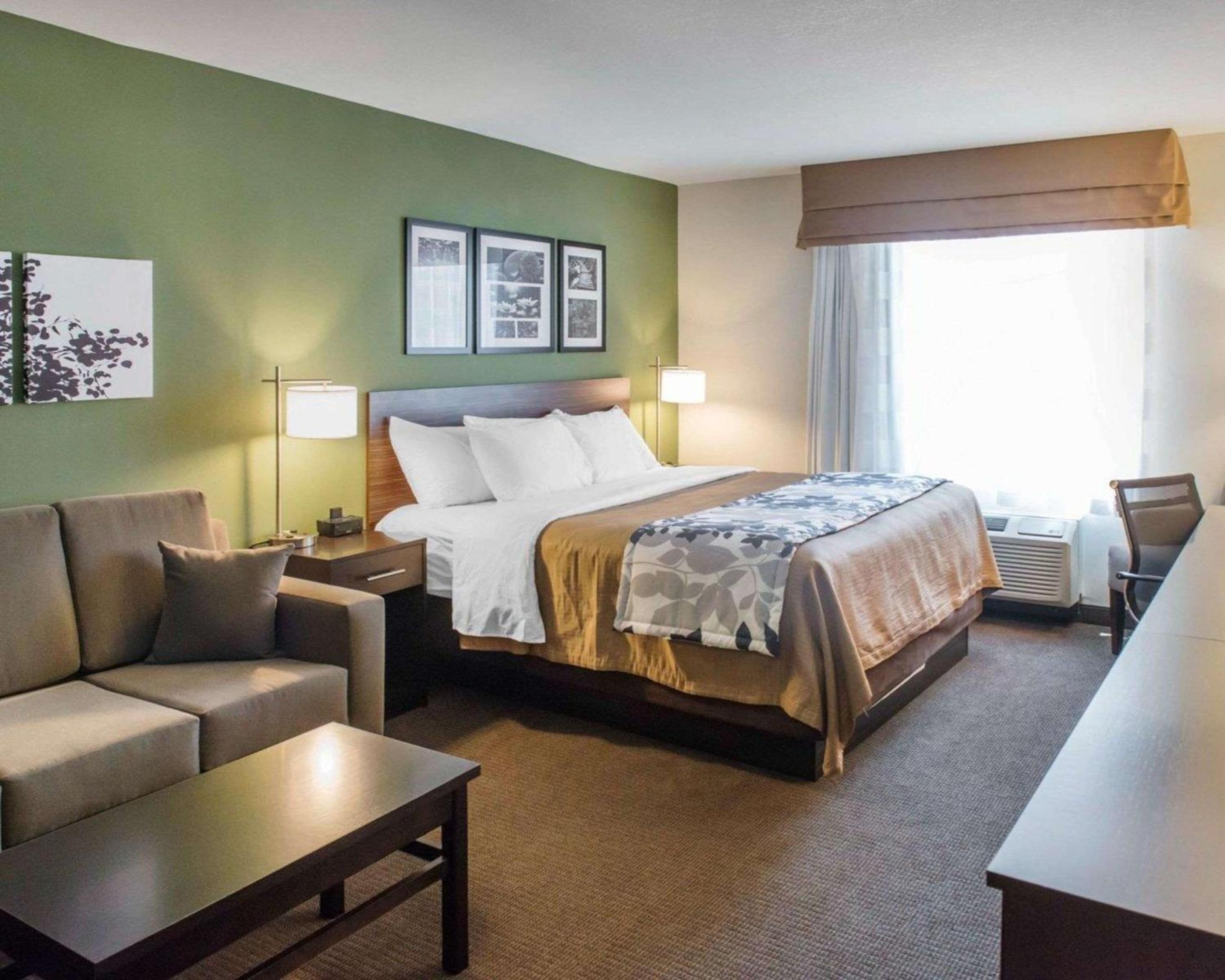 King Suite photo 2