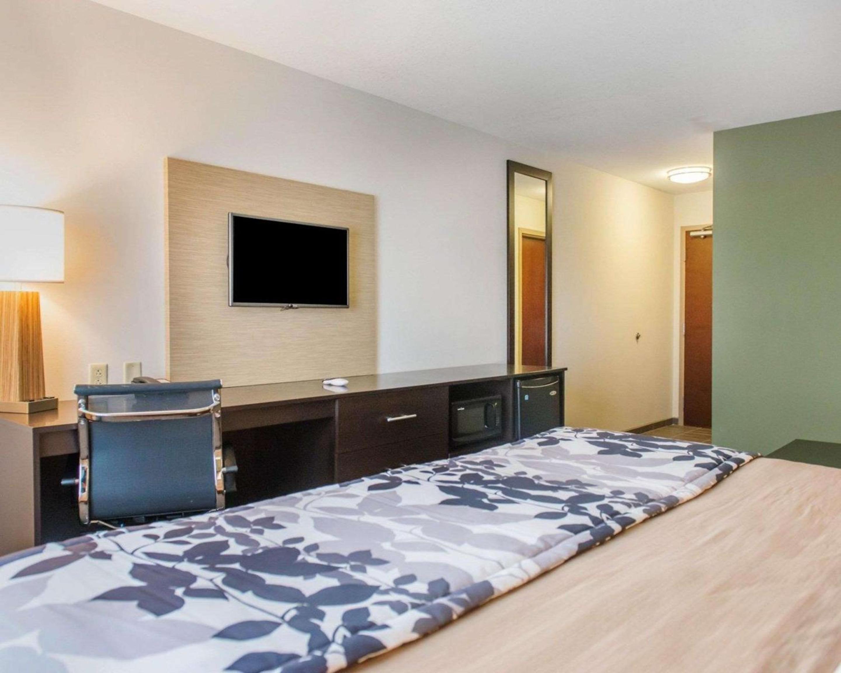 King Suite photo 3