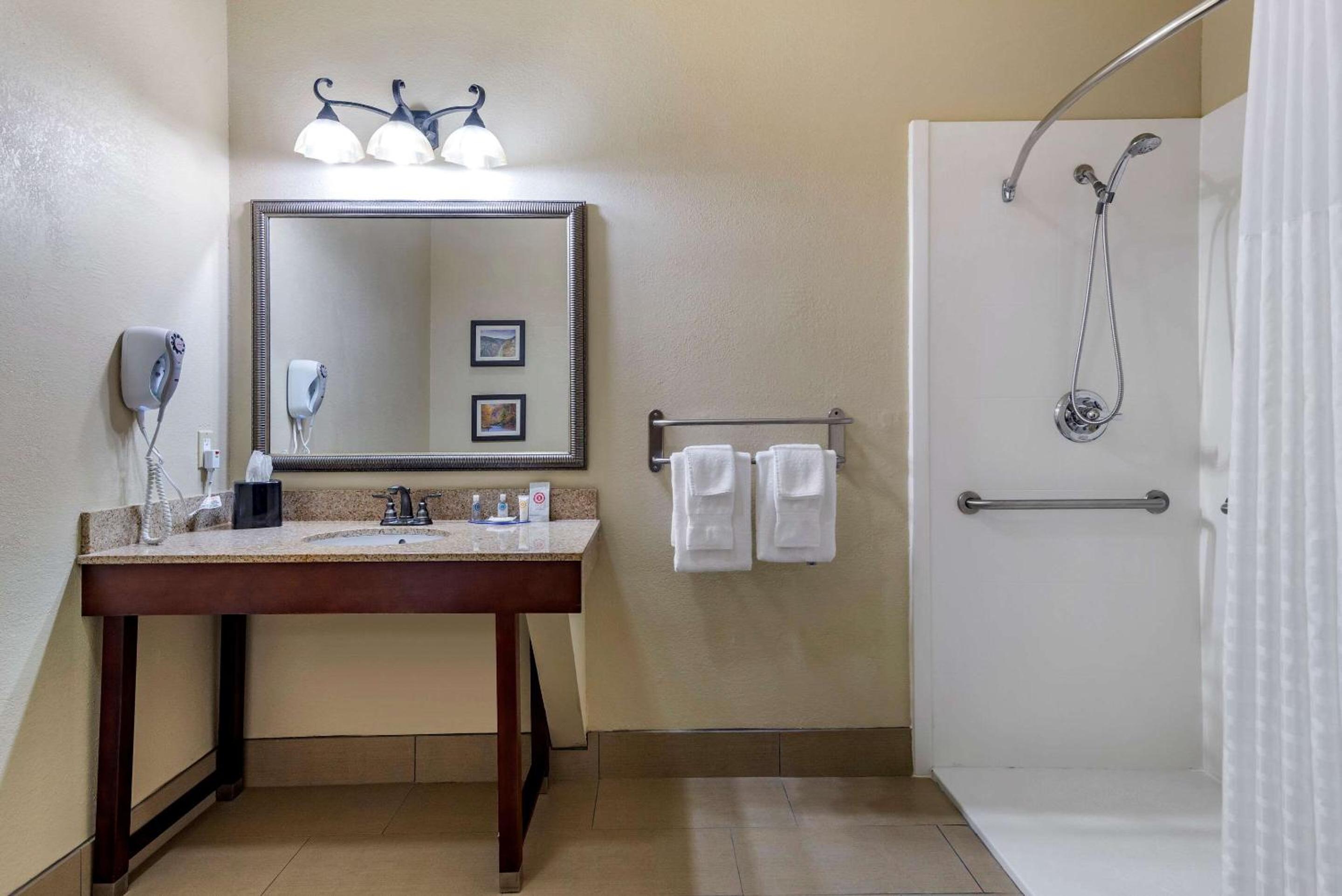 King Room - Accessible/Non-Smoking/Pet Friendly - Photo 2