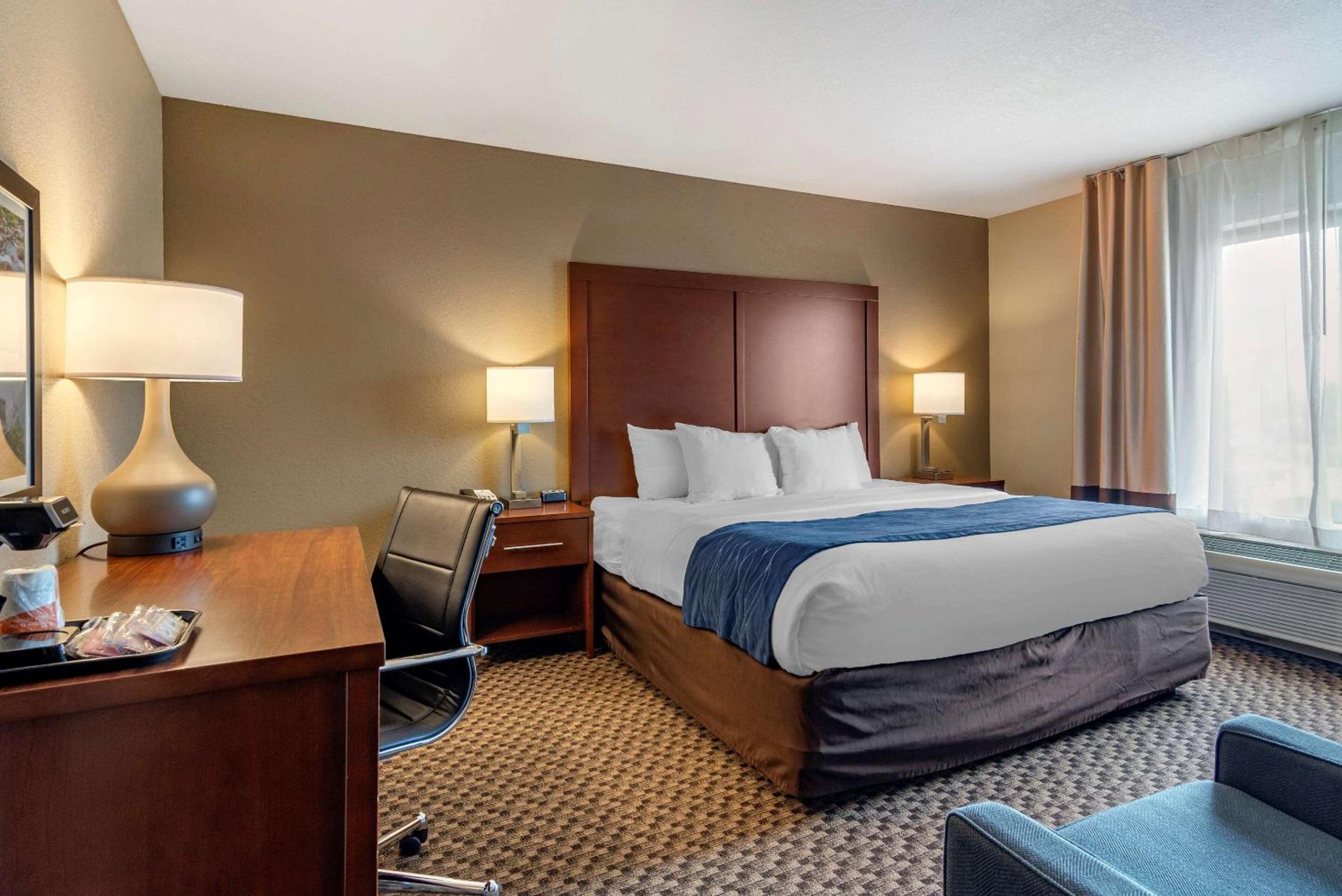 King Room - Accessible/Non-Smoking/Pet Friendly - Photo 4