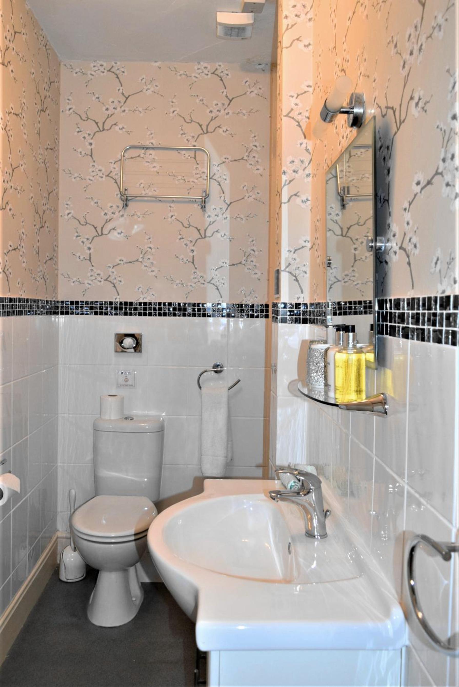 Deluxe Double or Twin Room with Mountain View photo 3