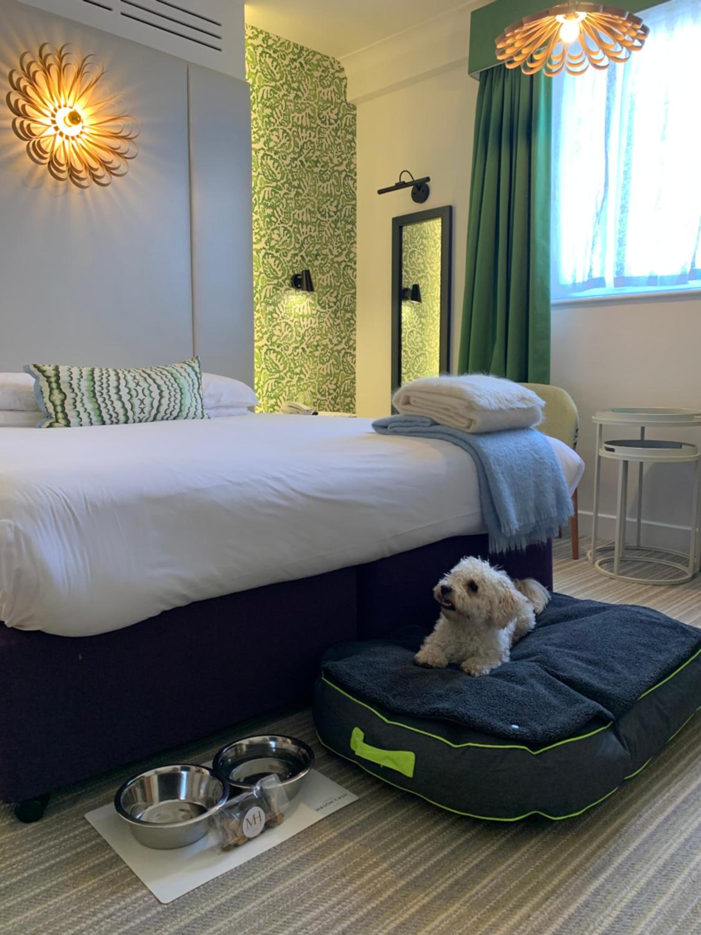 Deluxe Double Room - Dog Friendly - Photo 1