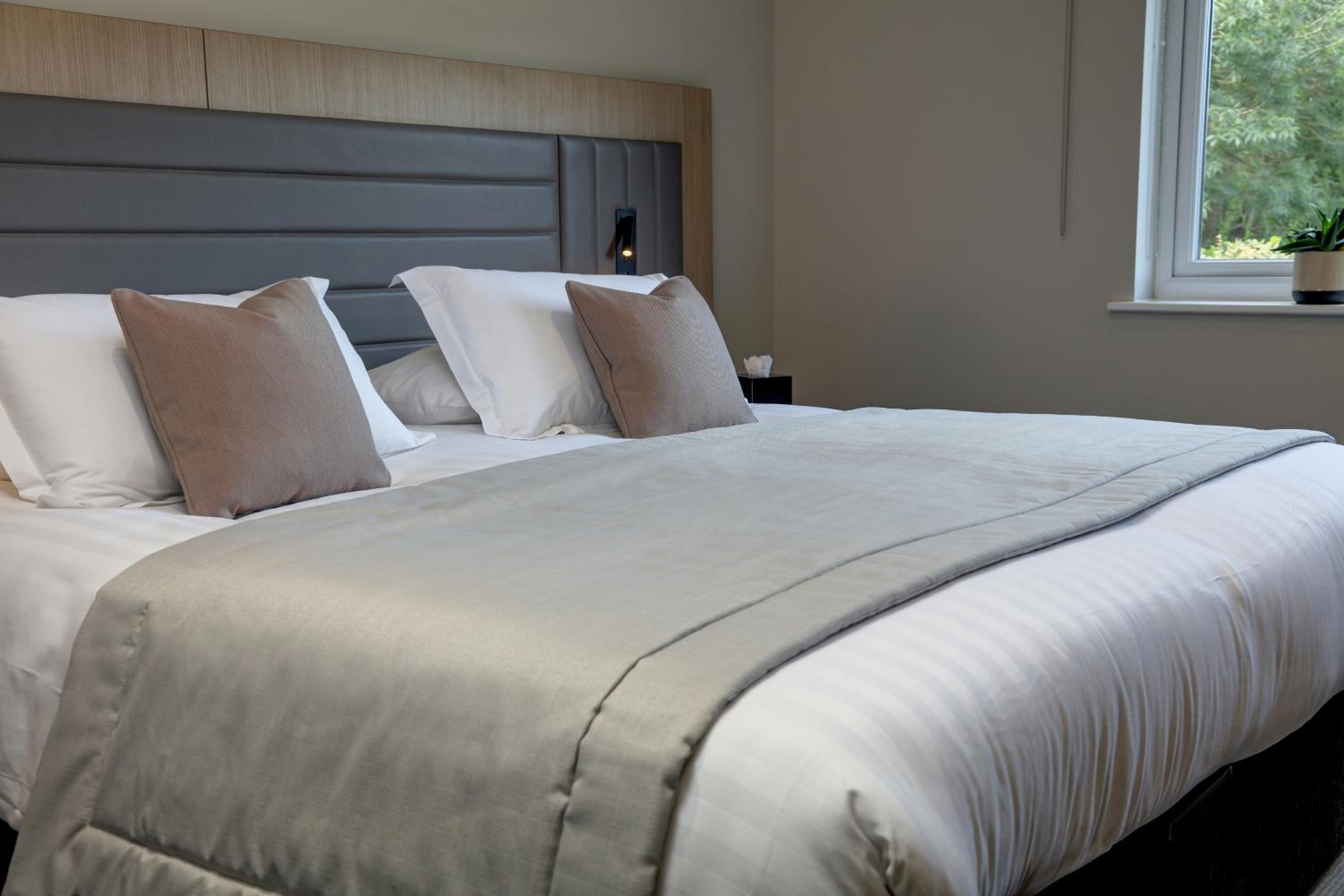 Executive Double Room photo 2