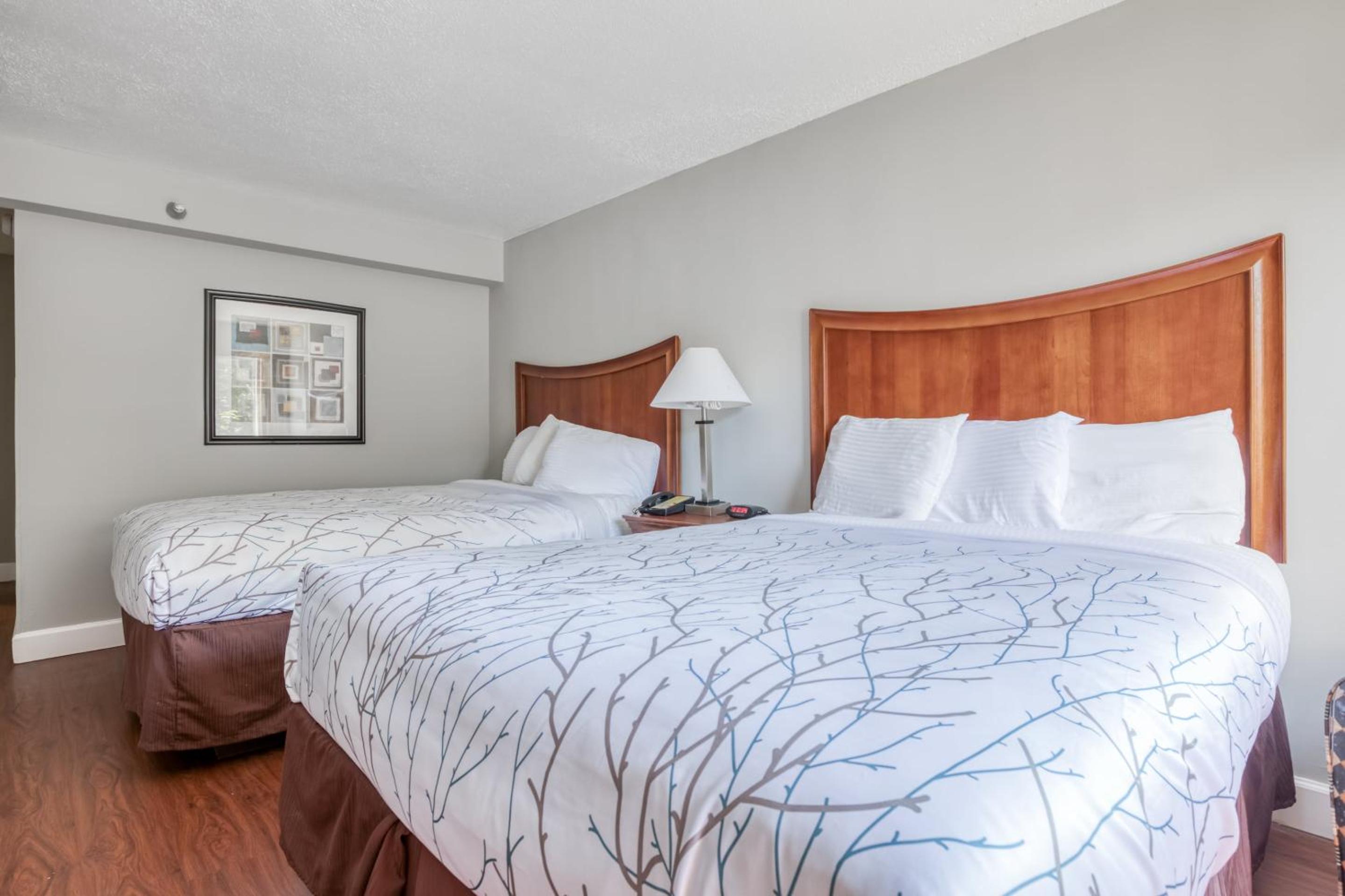 2 Queen Beds - Photo 4