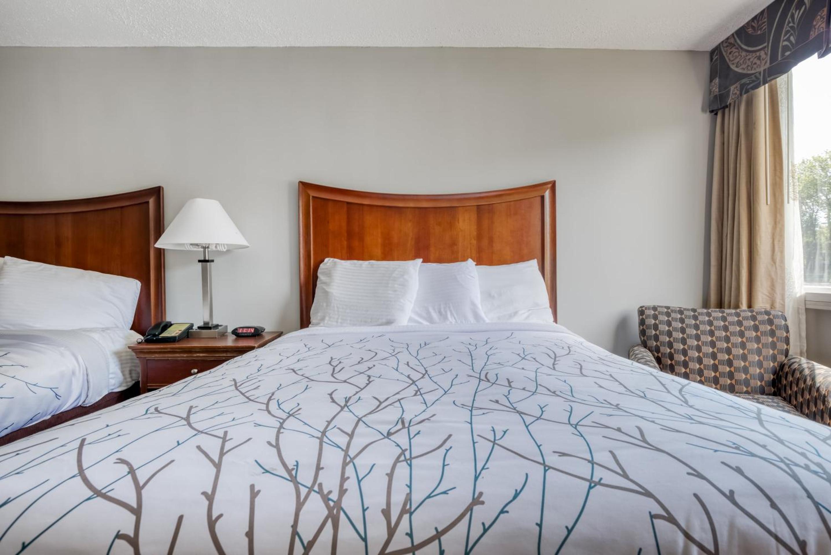 2 Queen Beds - Photo 3