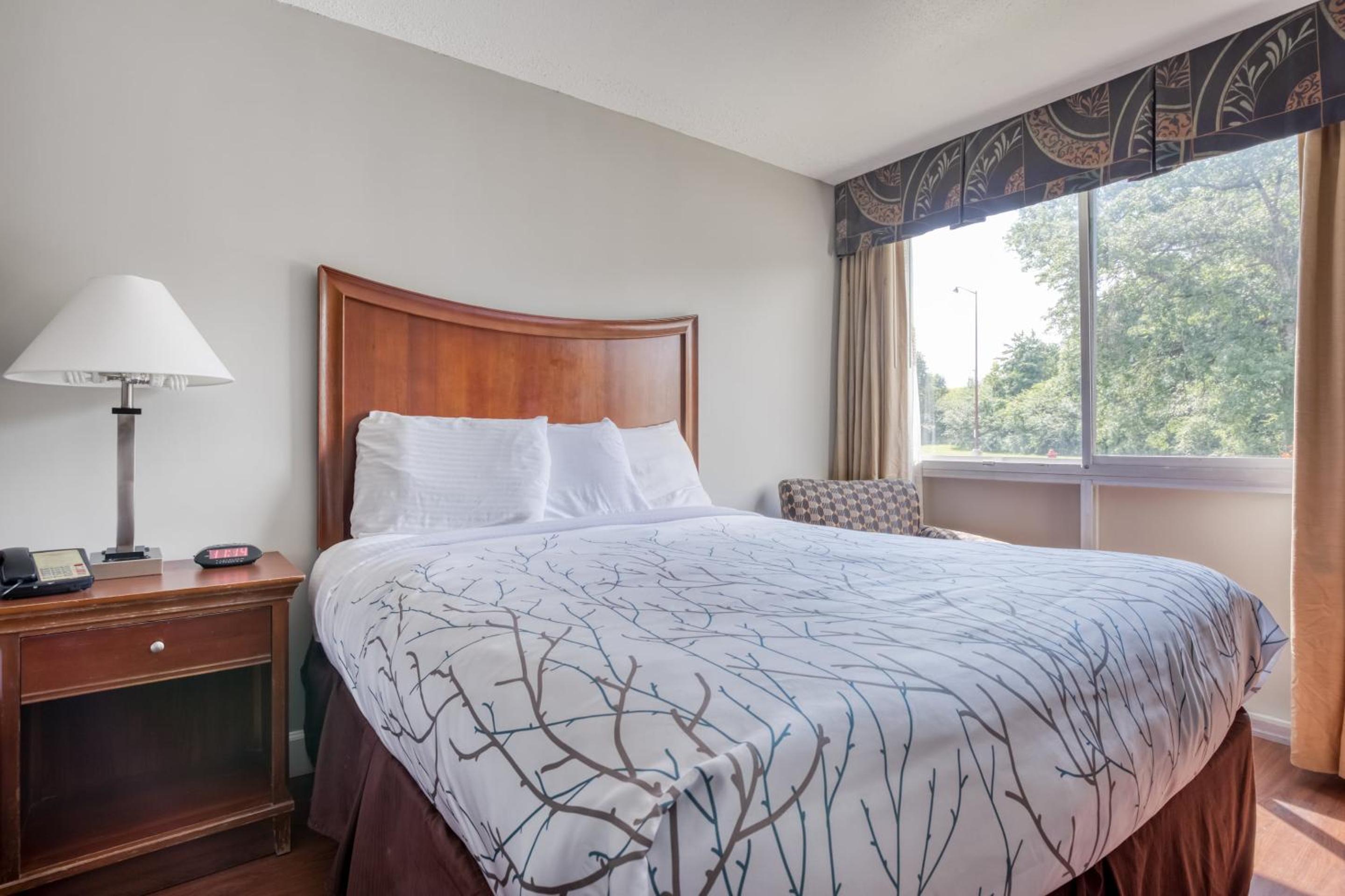 2 Queen Beds - Photo 2