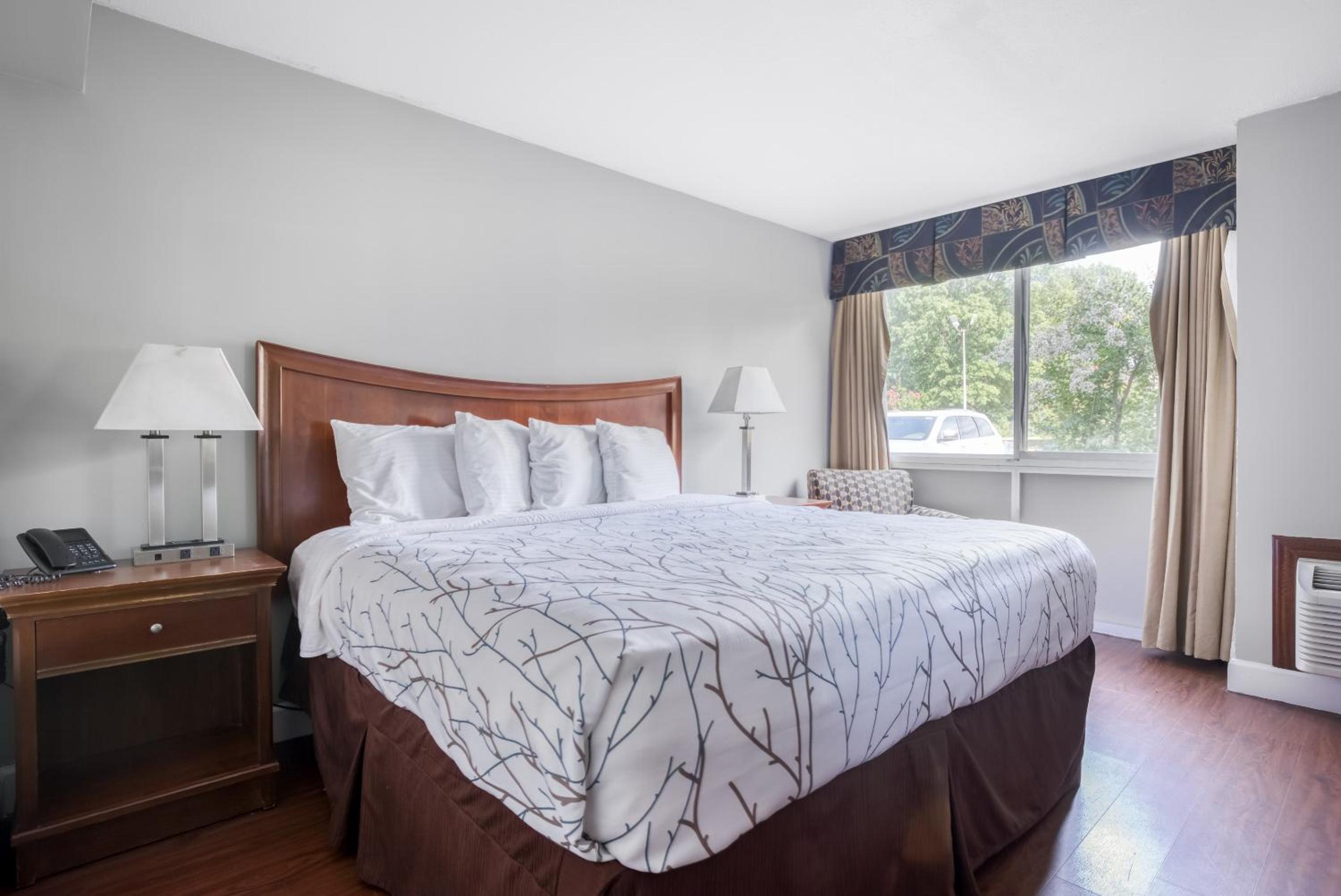 King Room - Photo 1