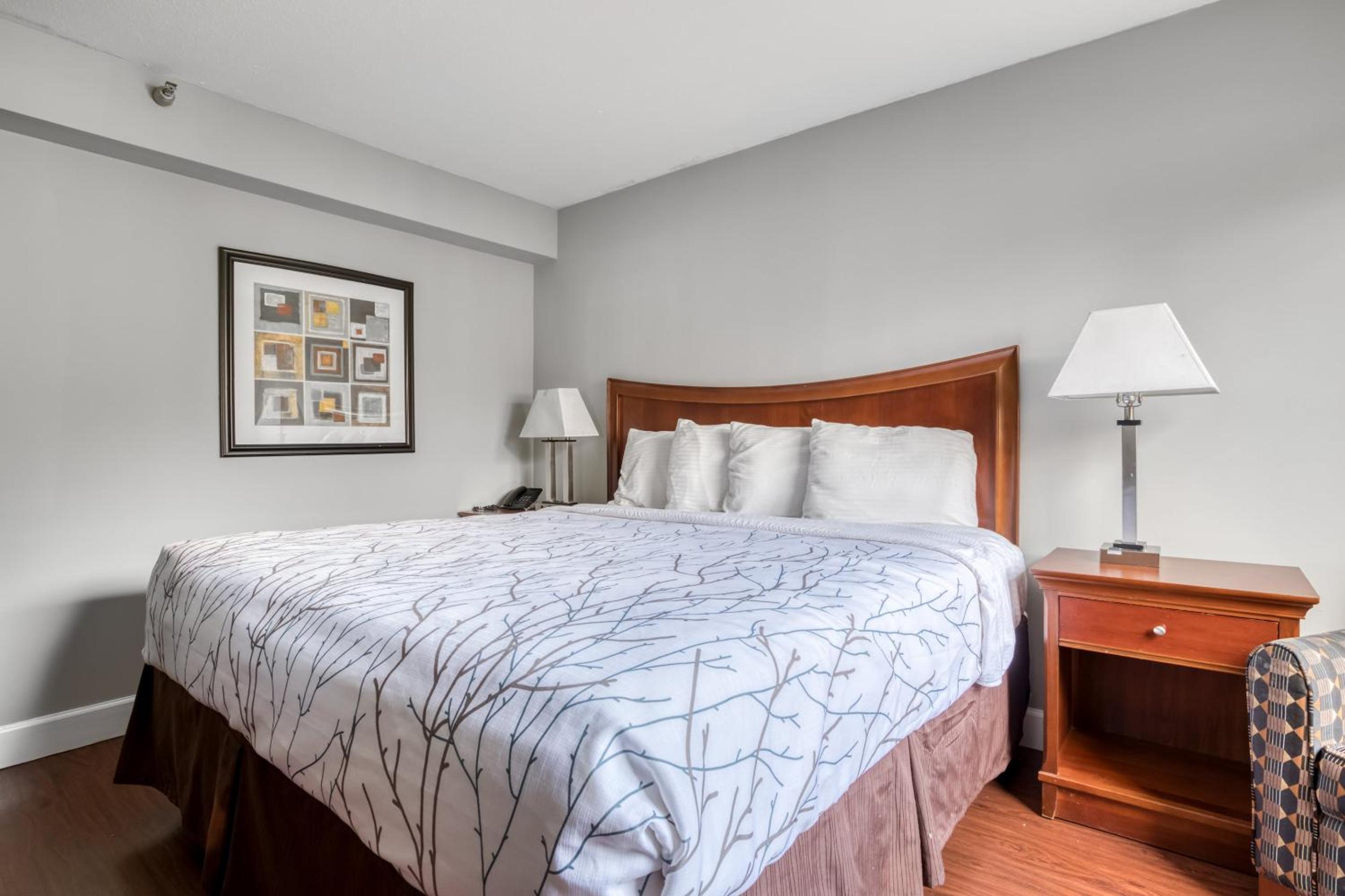 King Room - Photo 4