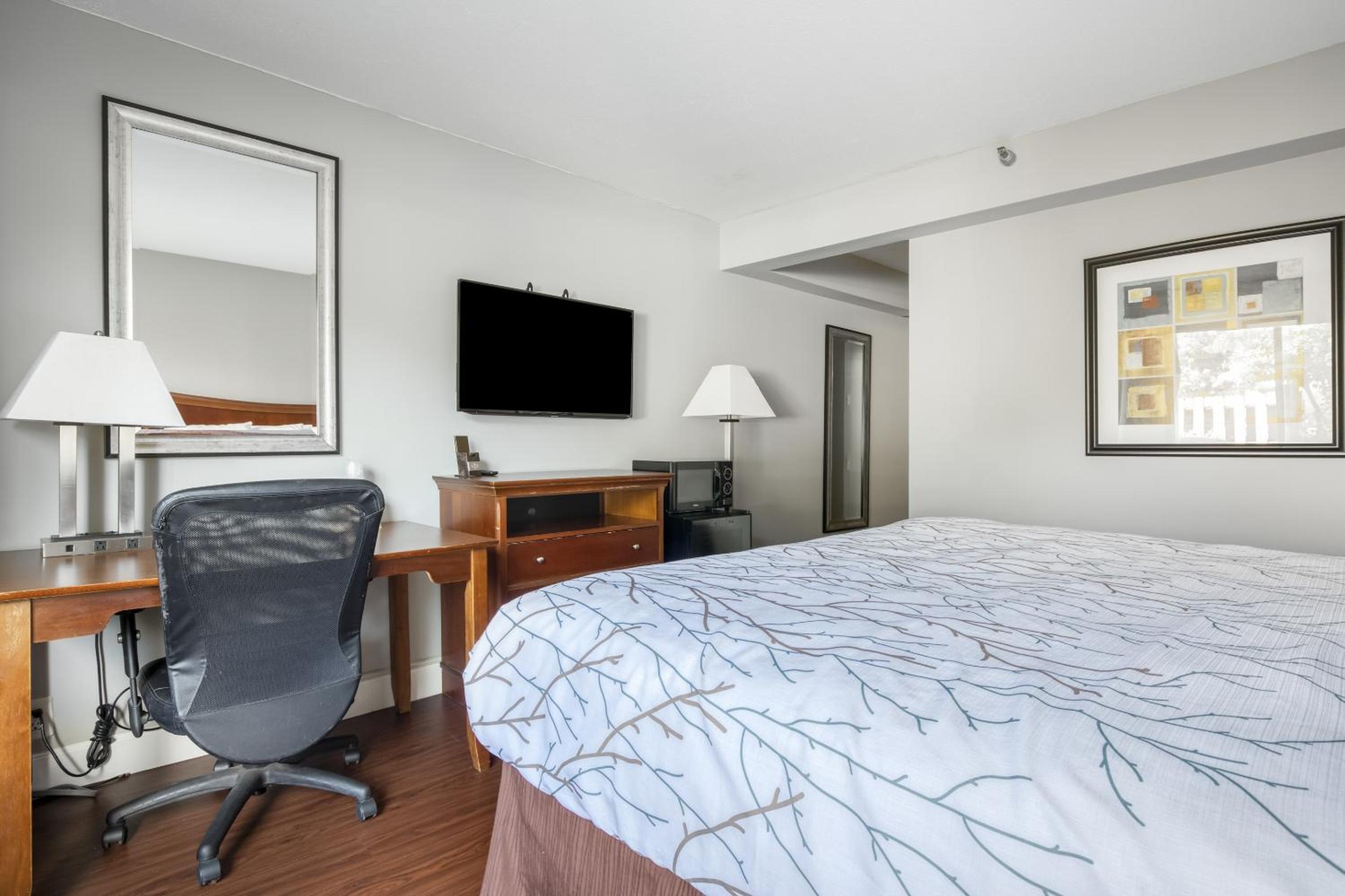 King Room - Photo 5