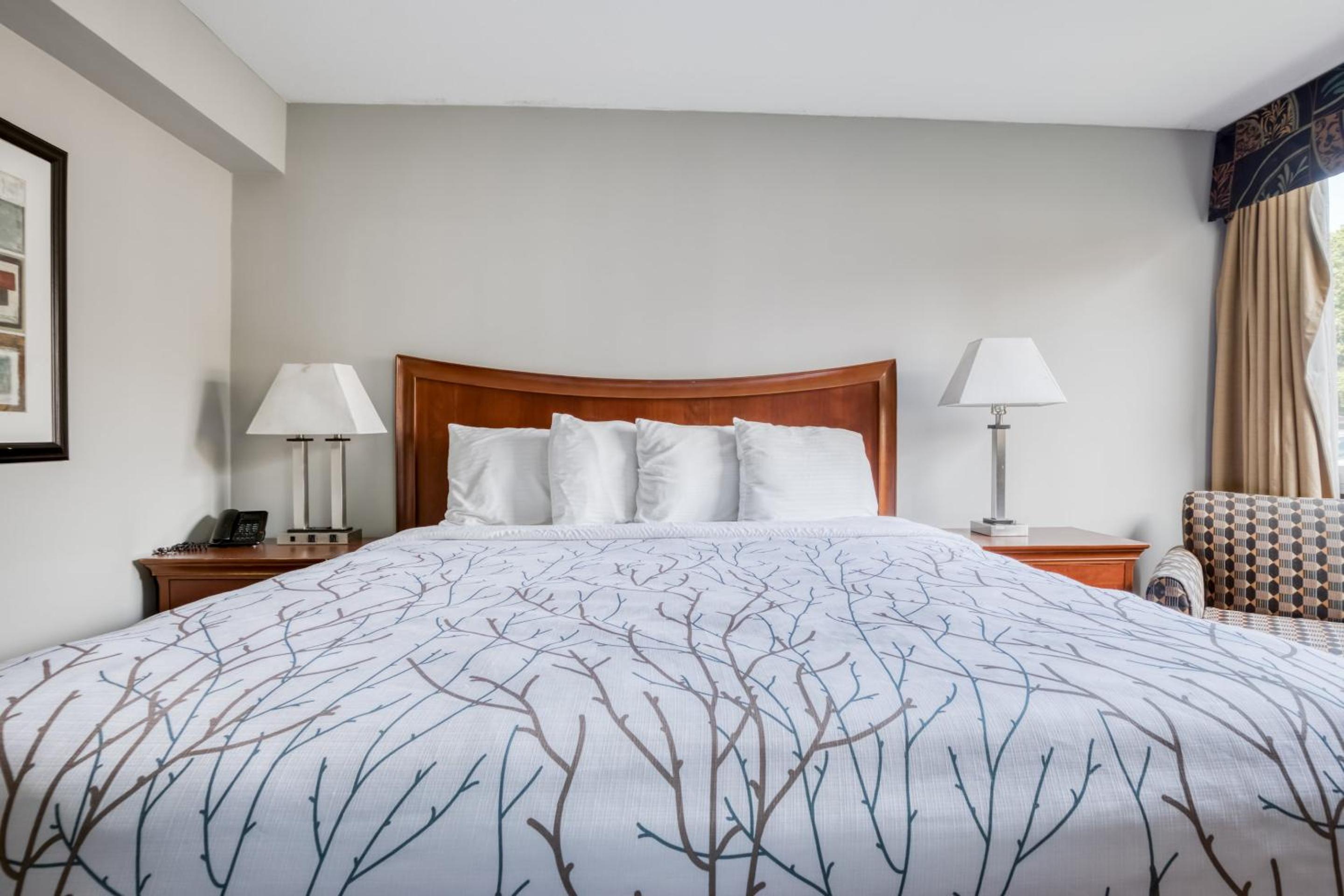 King Room - Photo 6