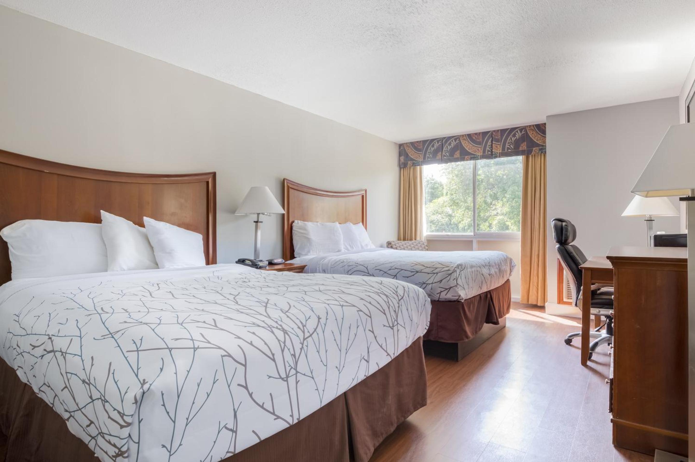 2 Queen Beds - Photo 1